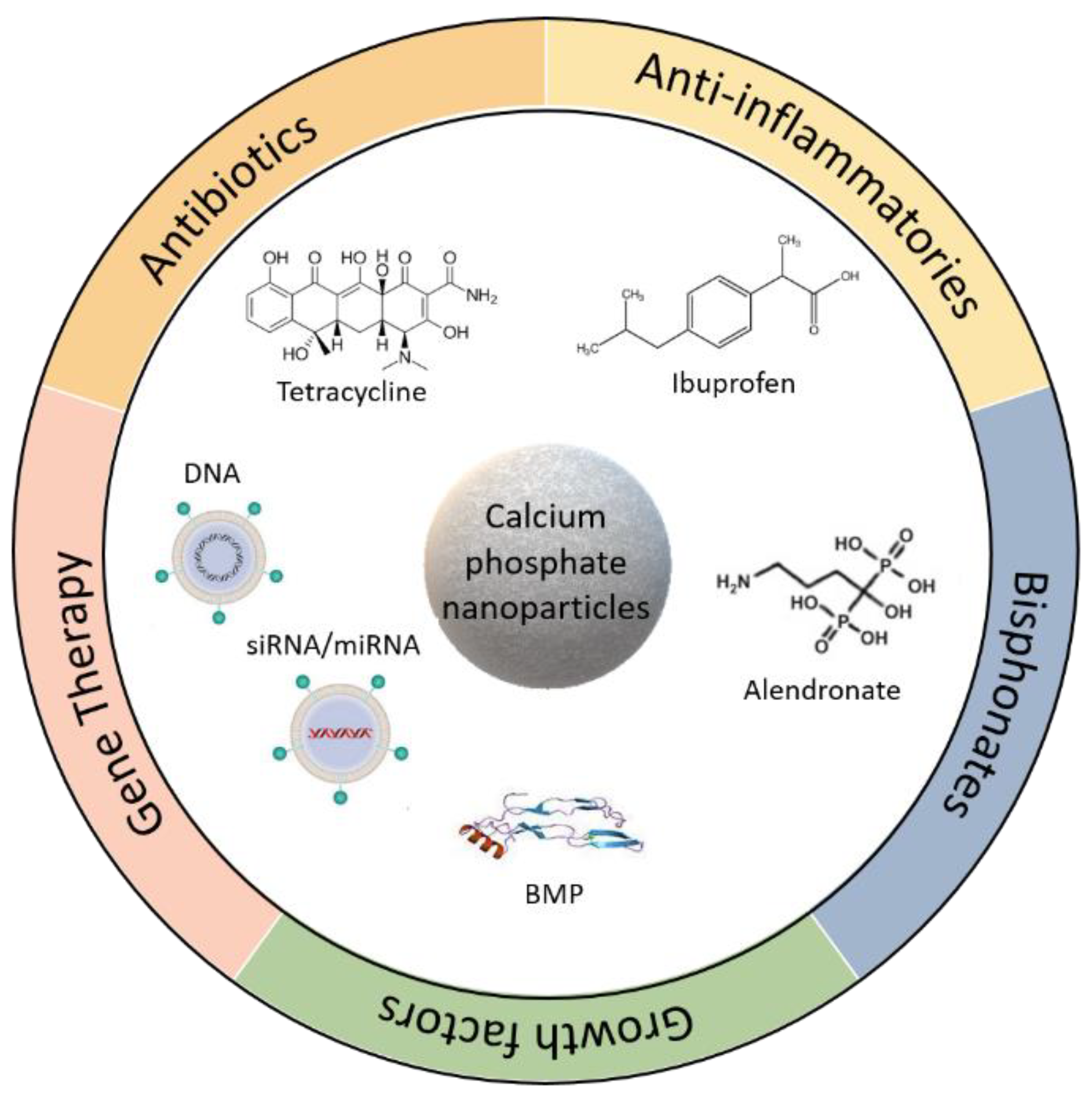 Nanomaterials | Free Full-Text | Calcium Phosphate Nanoparticles 