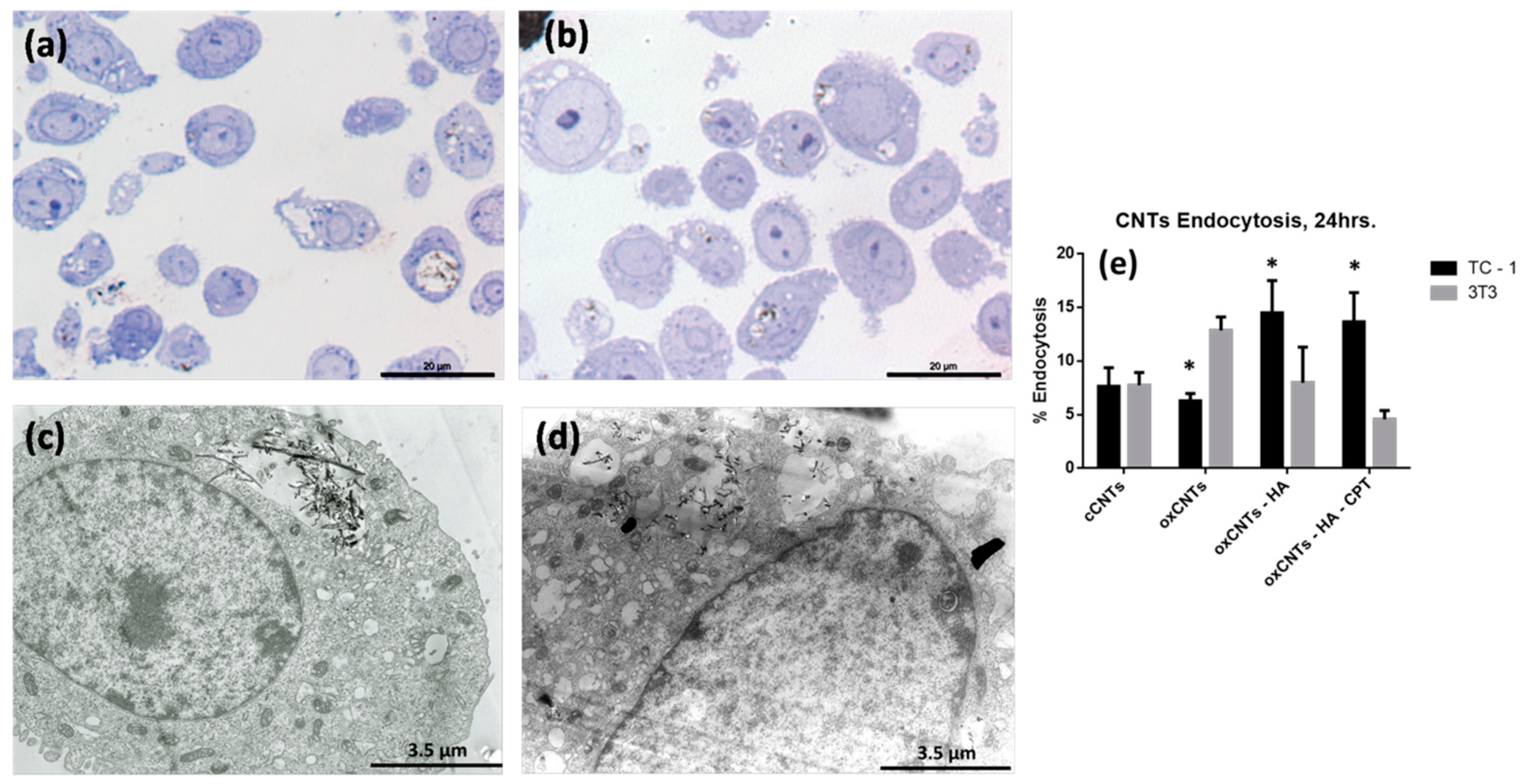 Nanomaterials 09 01572 g002 Nanomaterials 09 01572 g002