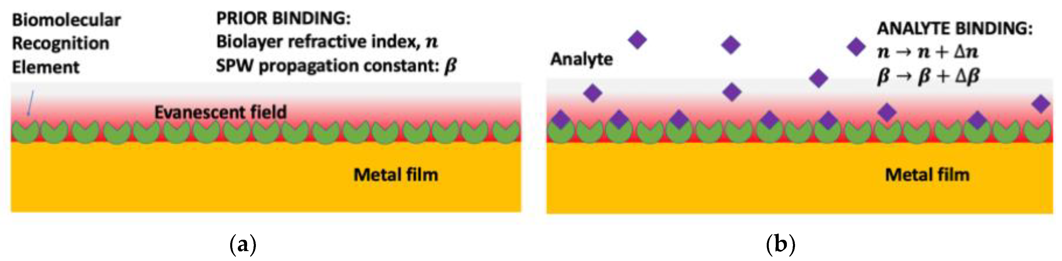 Nanomaterials 09 01573 g001
