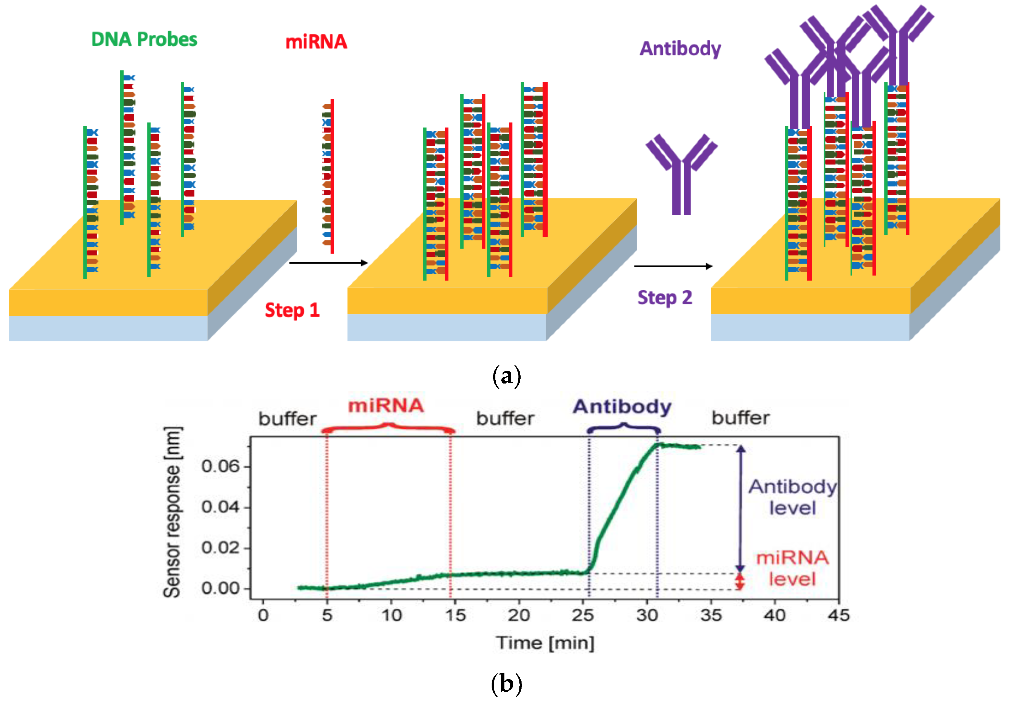 Nanomaterials 09 01573 g003