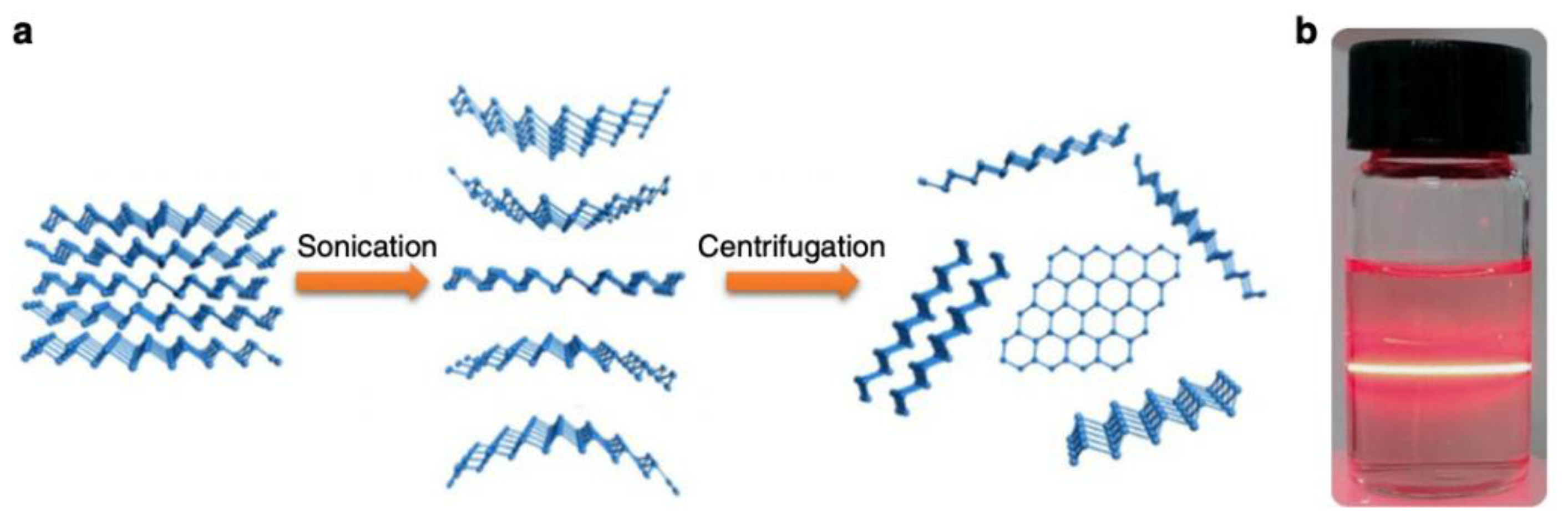 Nanomaterials 09 01573 g005