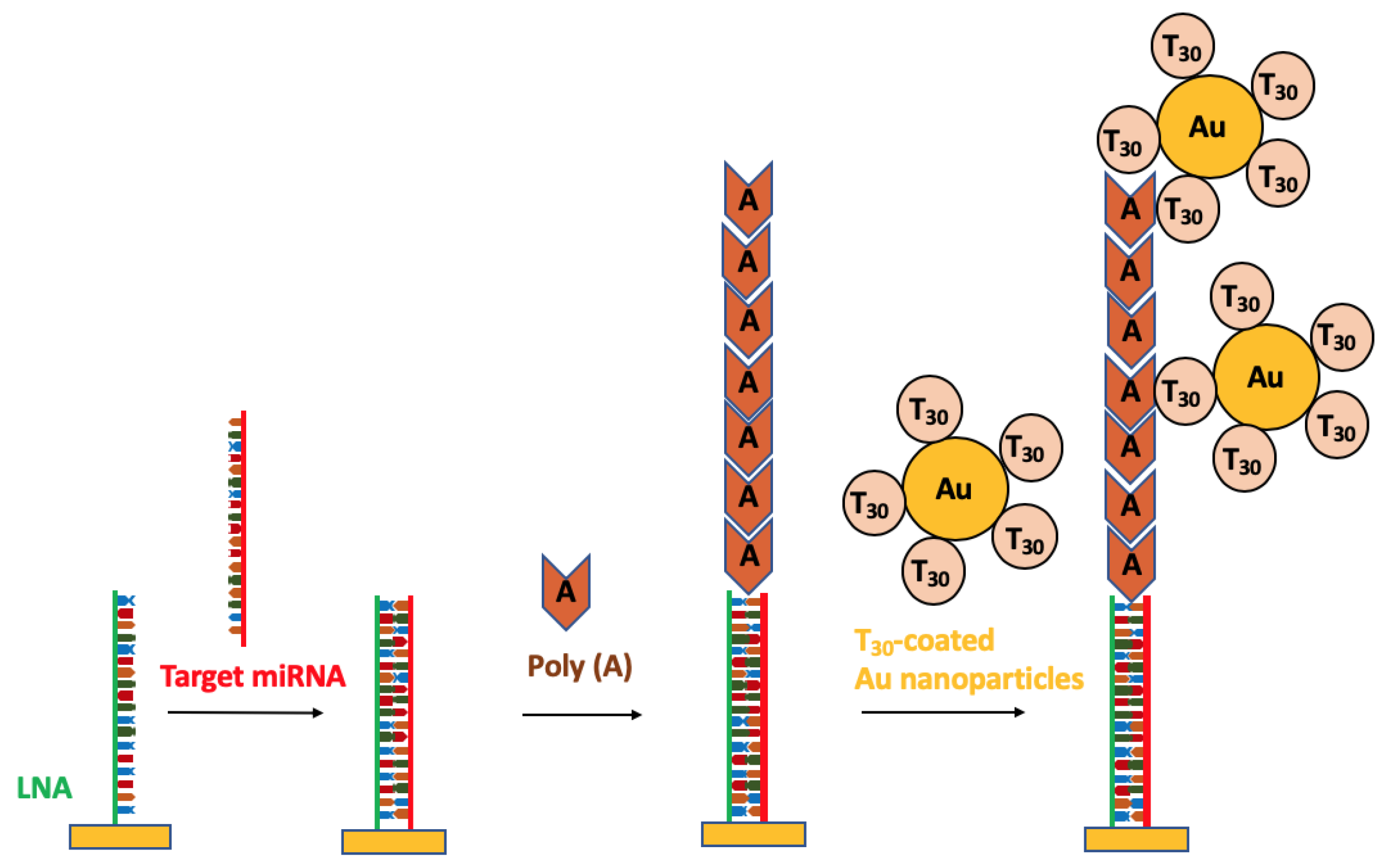 Nanomaterials 09 01573 g008