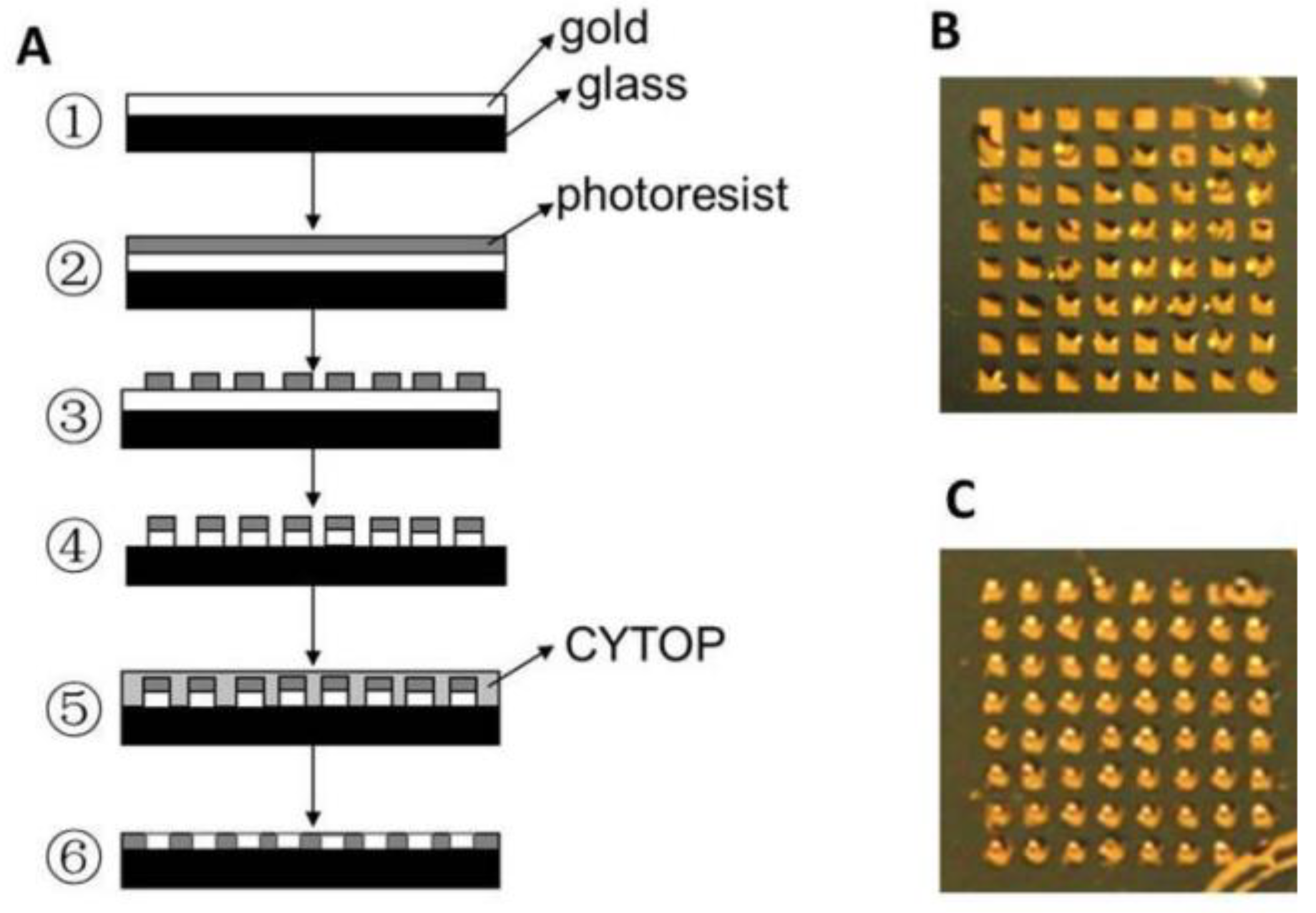 Nanomaterials 09 01573 g009