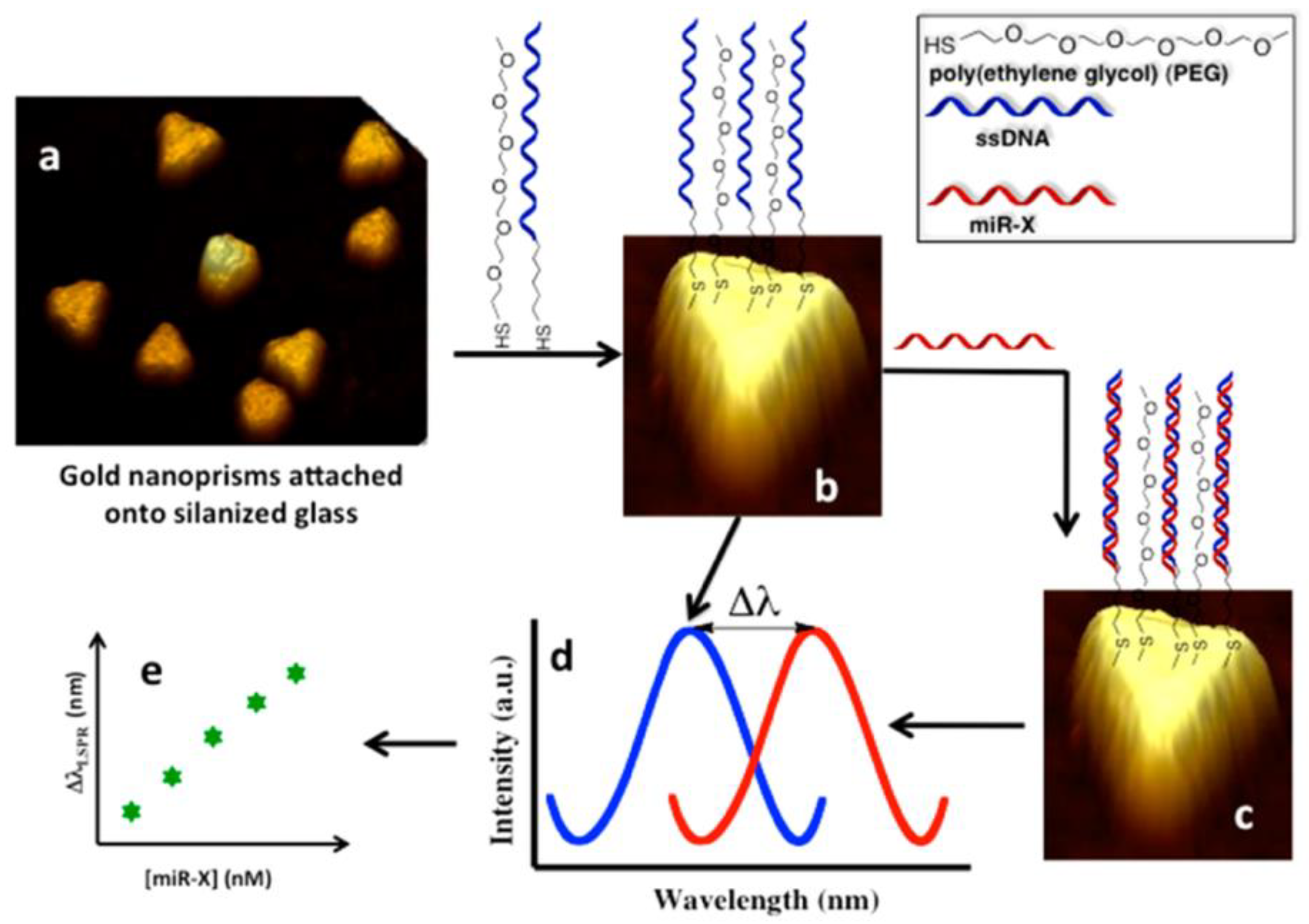 Nanomaterials 09 01573 g012