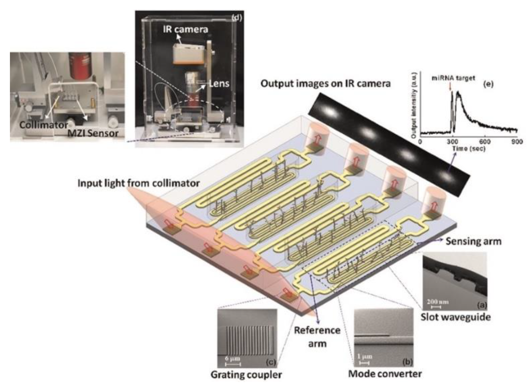 Nanomaterials 09 01573 g015
