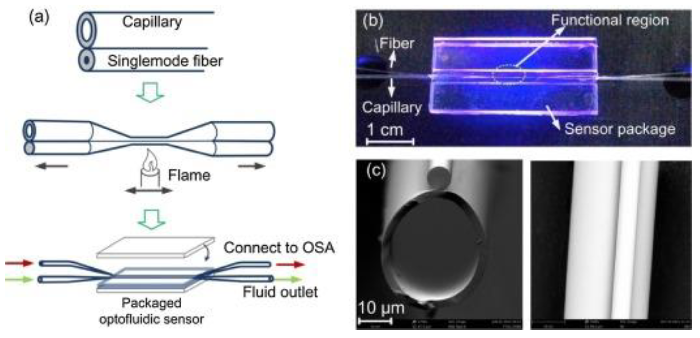 Nanomaterials 09 01573 g016