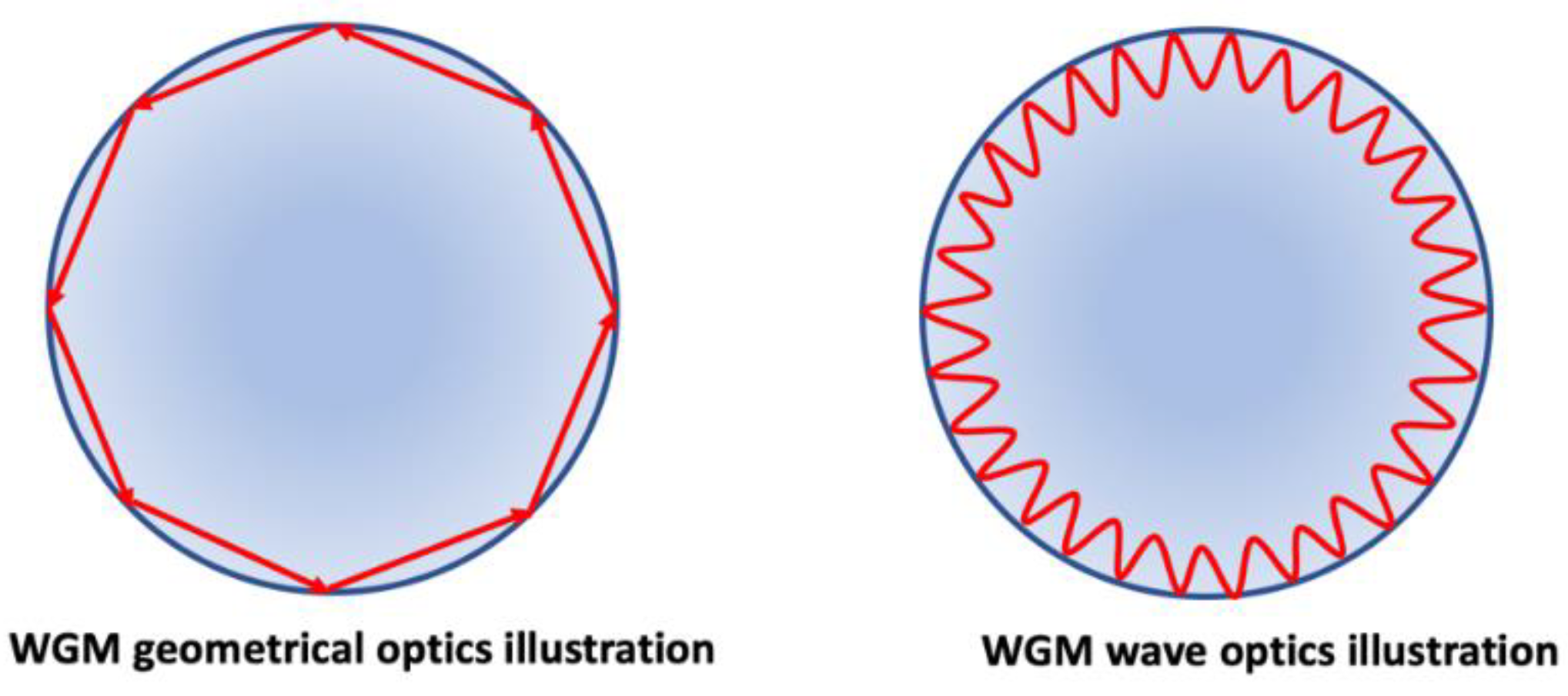 Nanomaterials 09 01573 g017