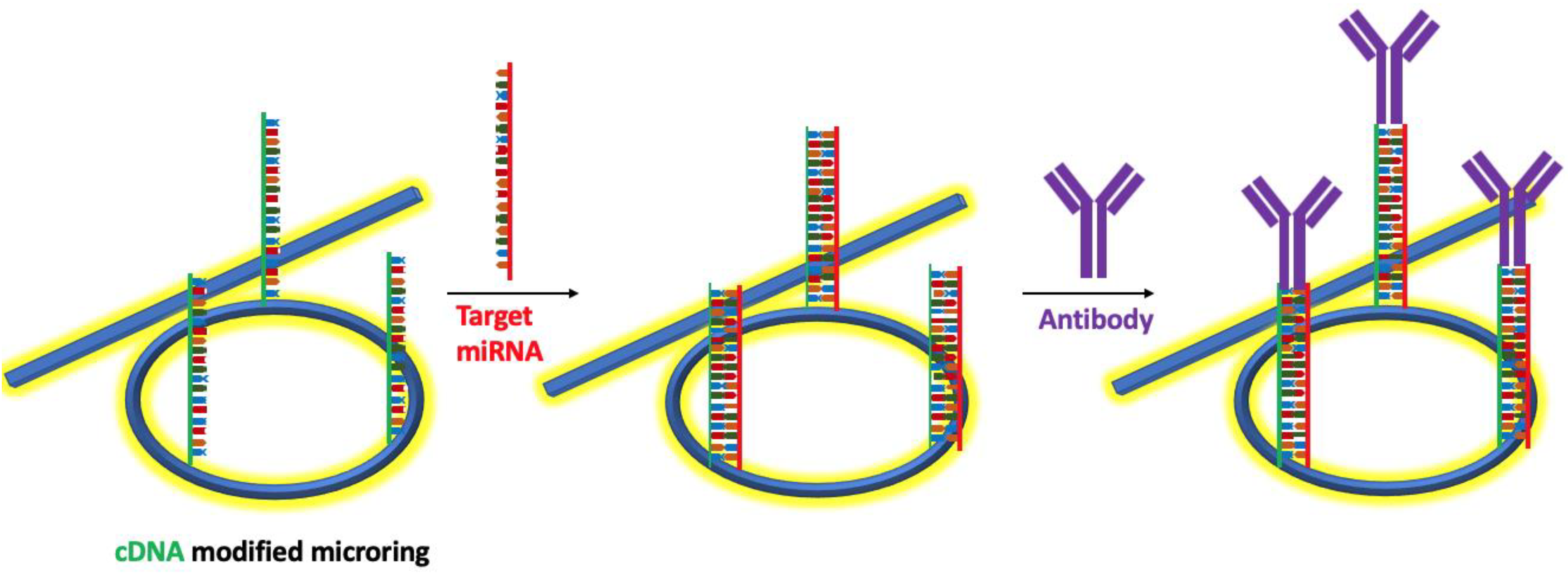 Nanomaterials 09 01573 g019