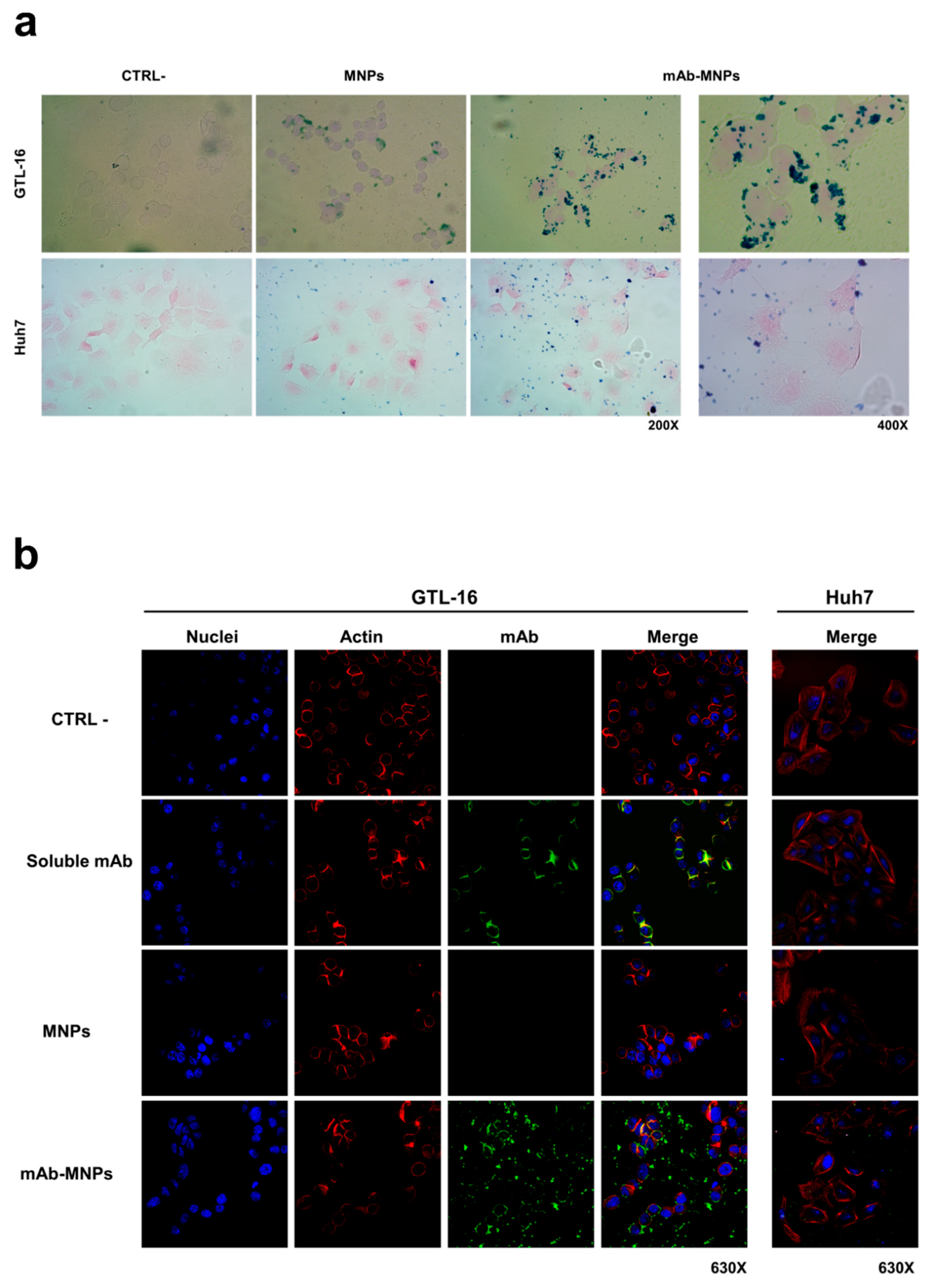Nanomaterials 09 01575 g008