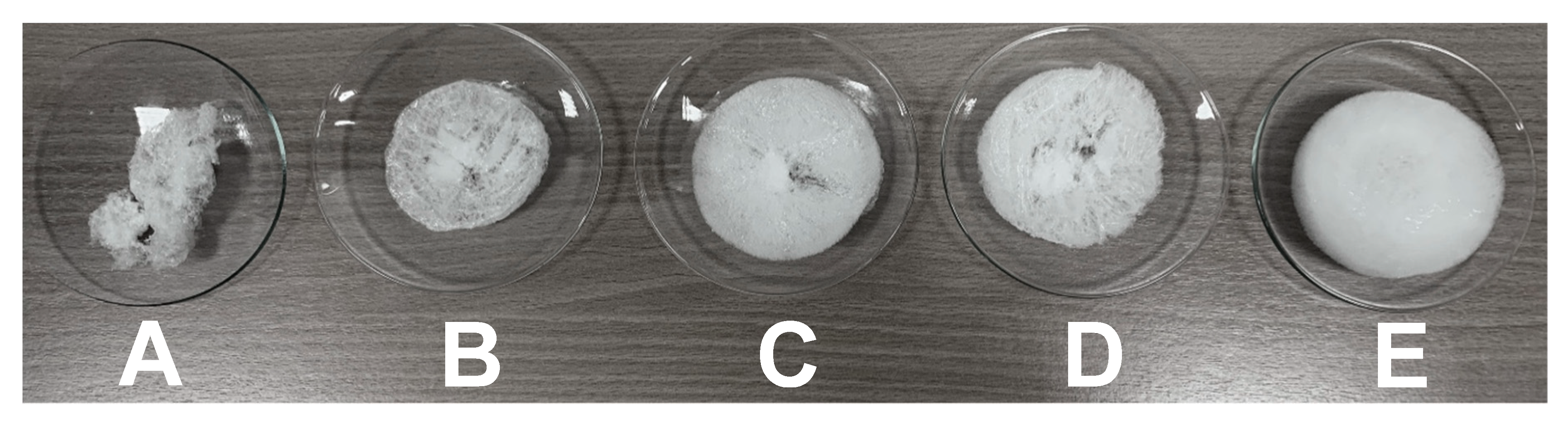 Nanomaterials 09 01577 g012