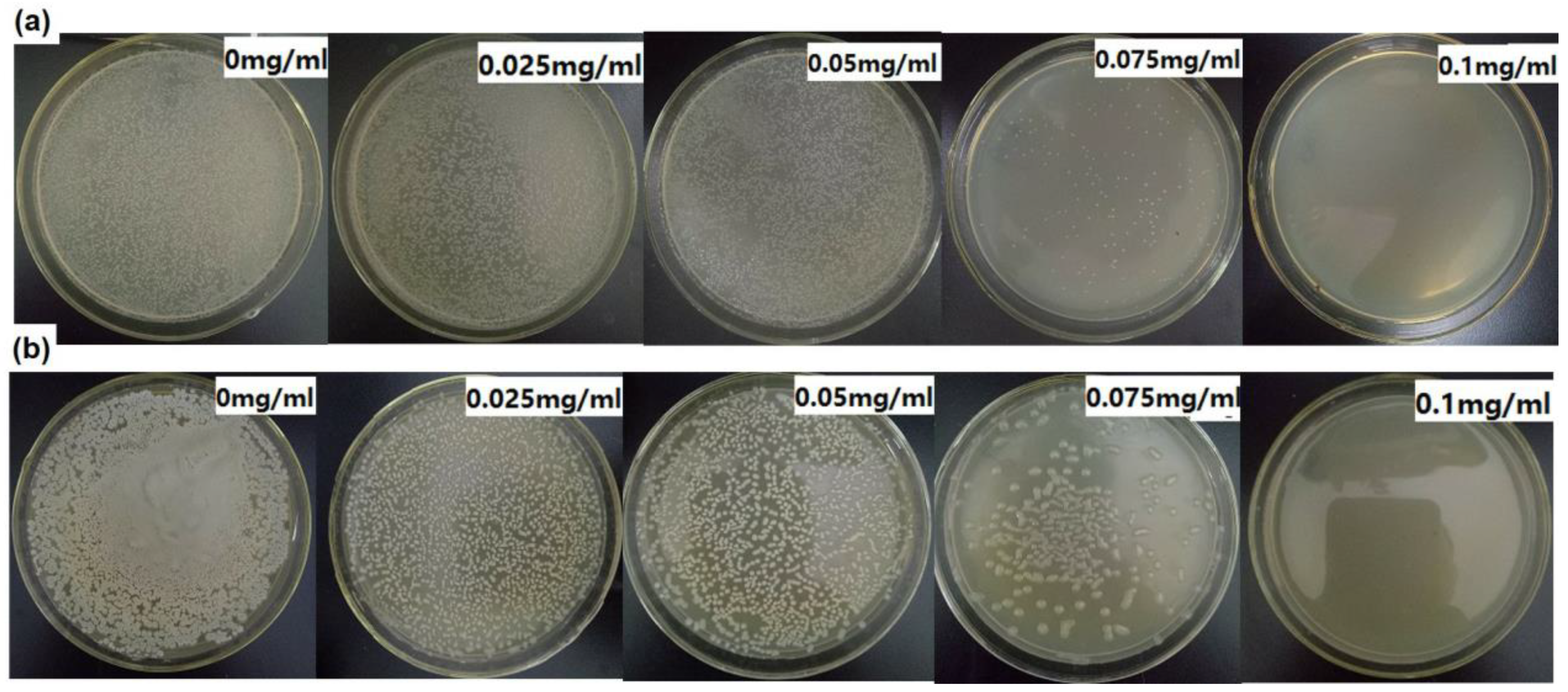 Nanomaterials 09 01579 g007