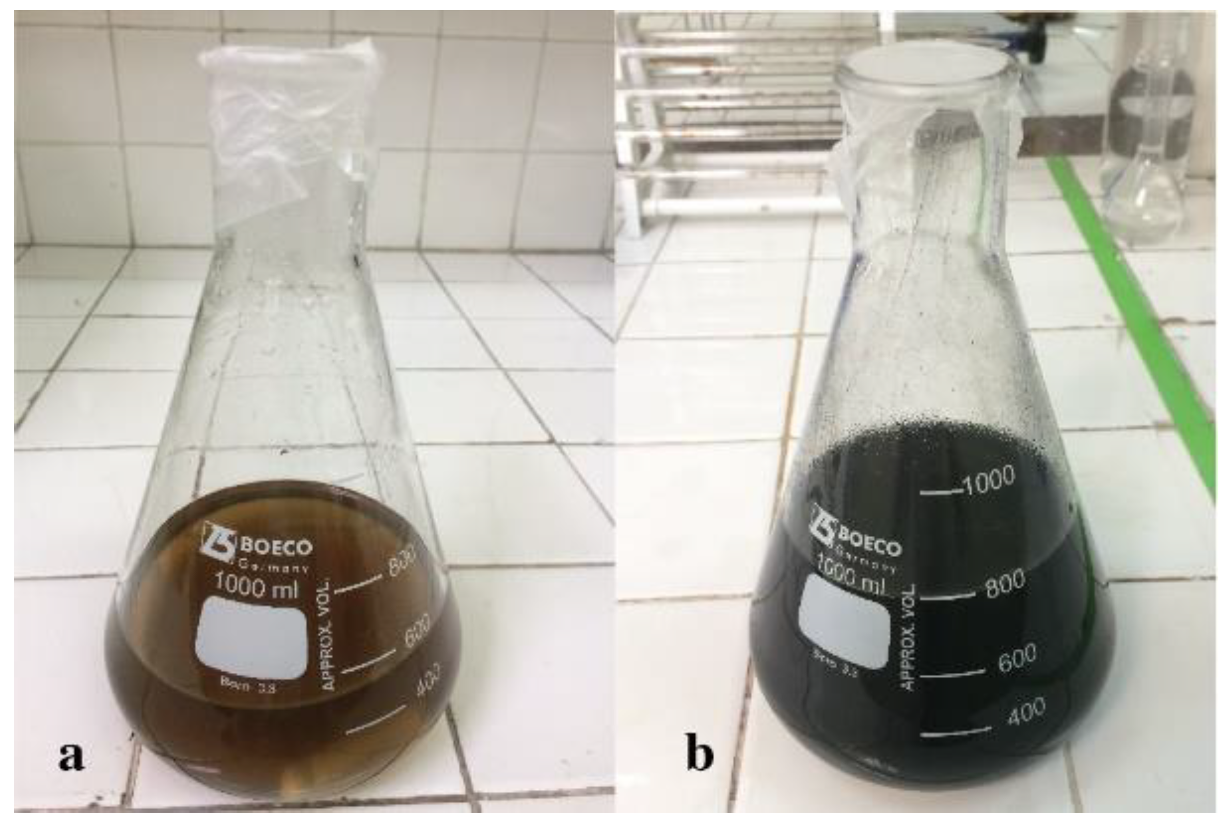 Nanomaterials 09 01580 g003