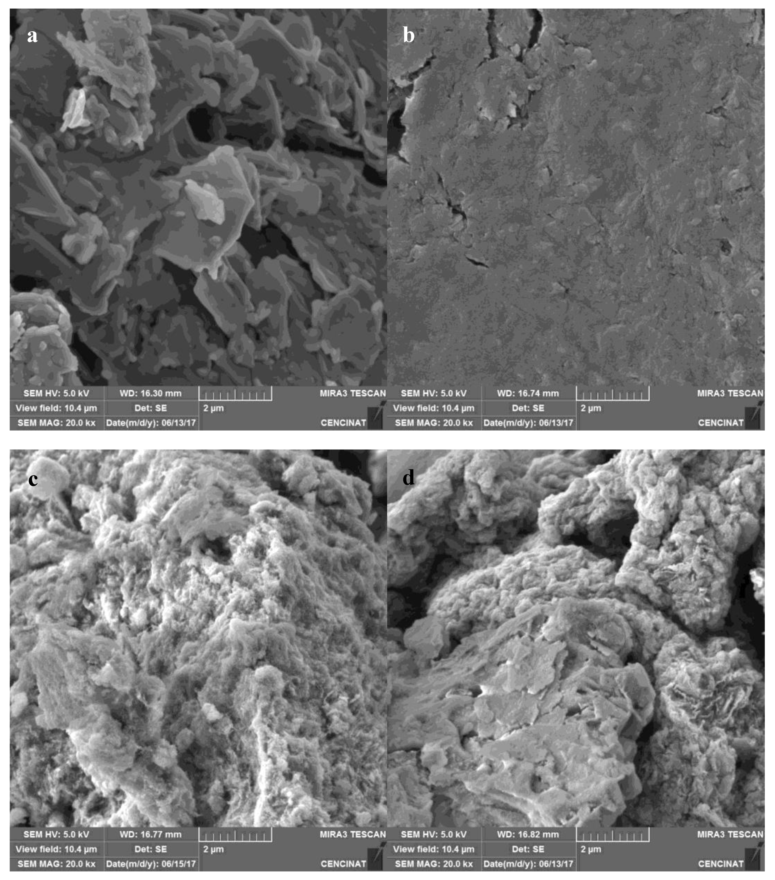 Nanomaterials 09 01580 g004
