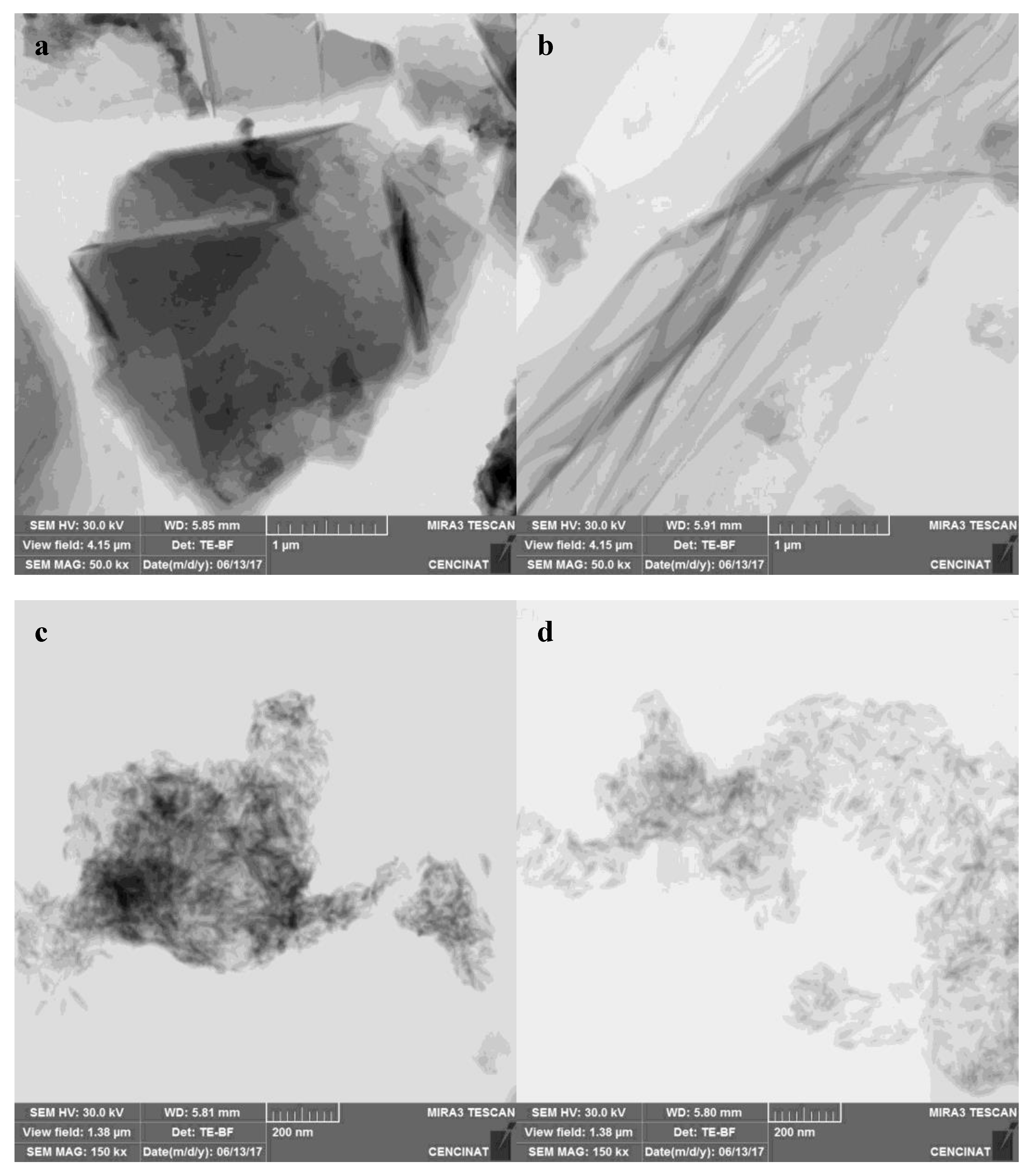 Nanomaterials 09 01580 g005
