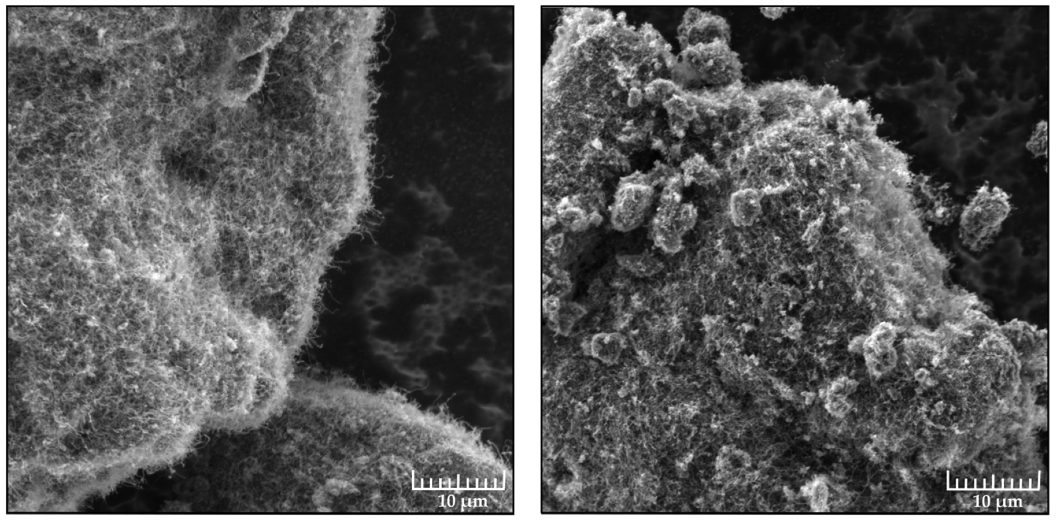 Nanomaterials 09 01584 g003