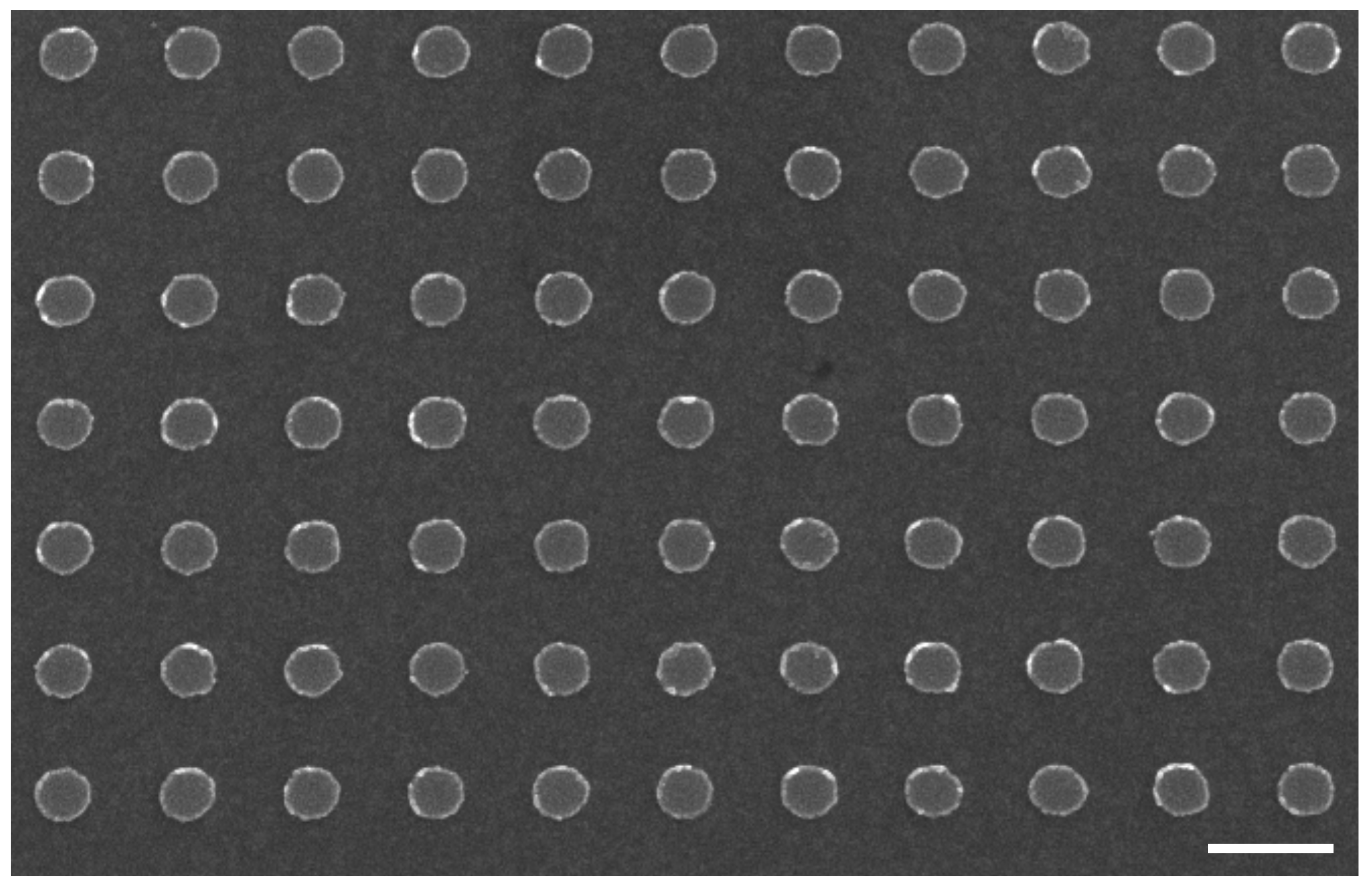 Nanomaterials 09 01588 g003