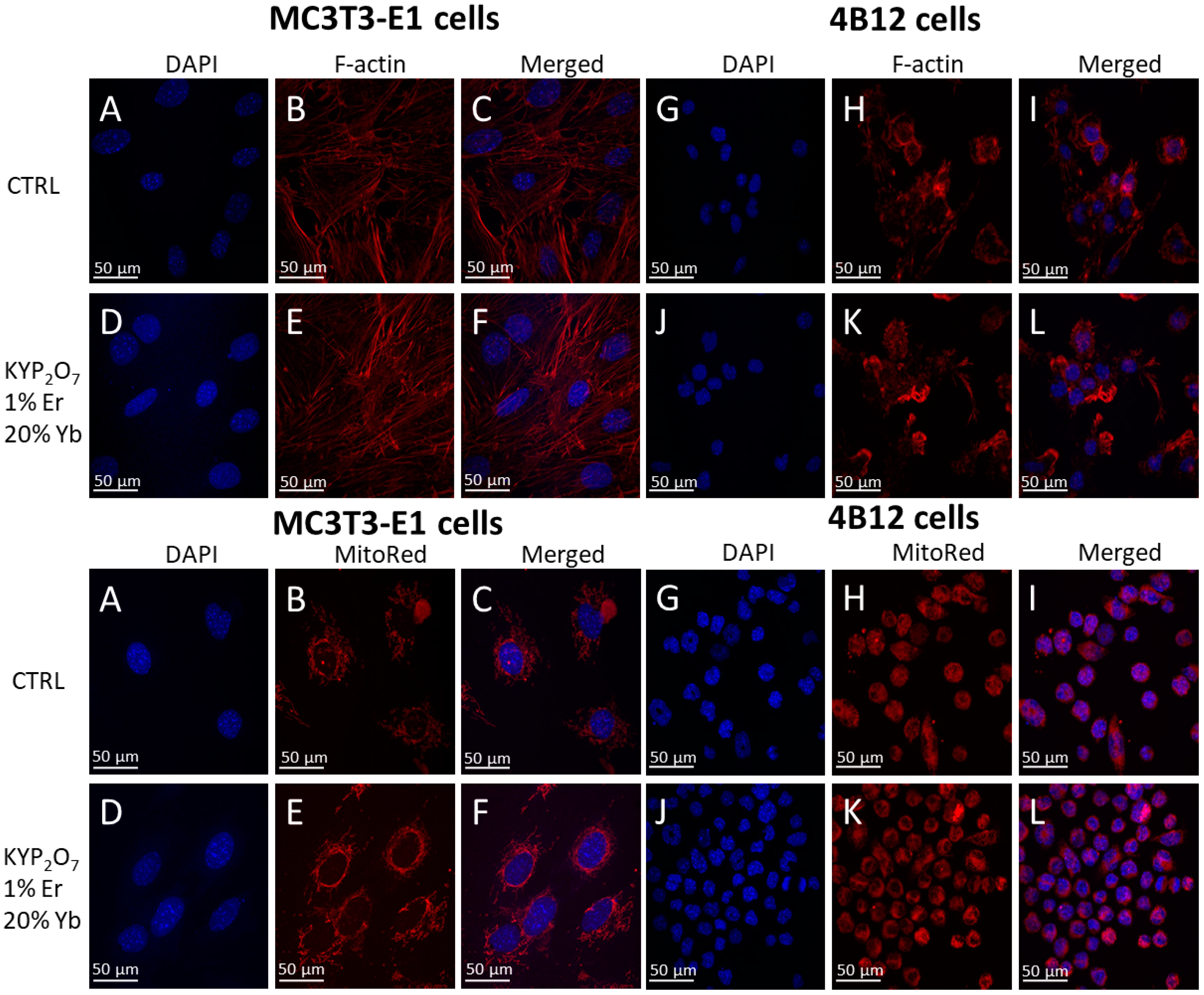 Nanomaterials 09 01597 g008 Nanomaterials 09 01597 g008