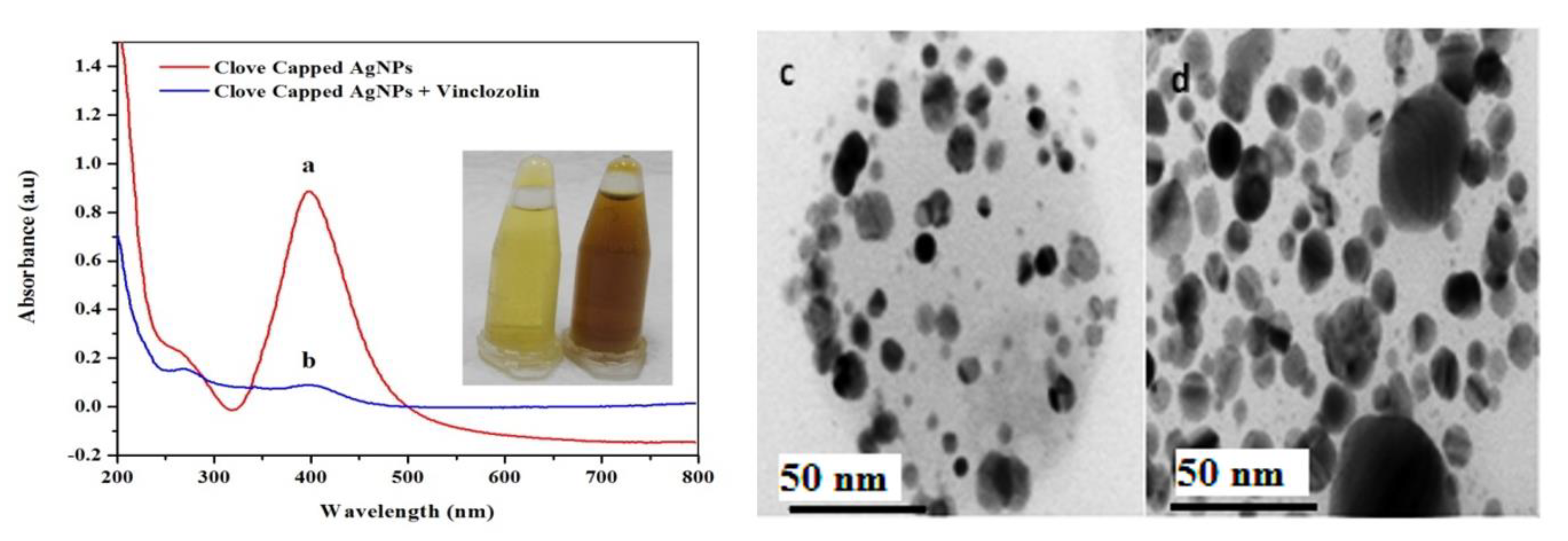 Nanomaterials 09 01604 g003