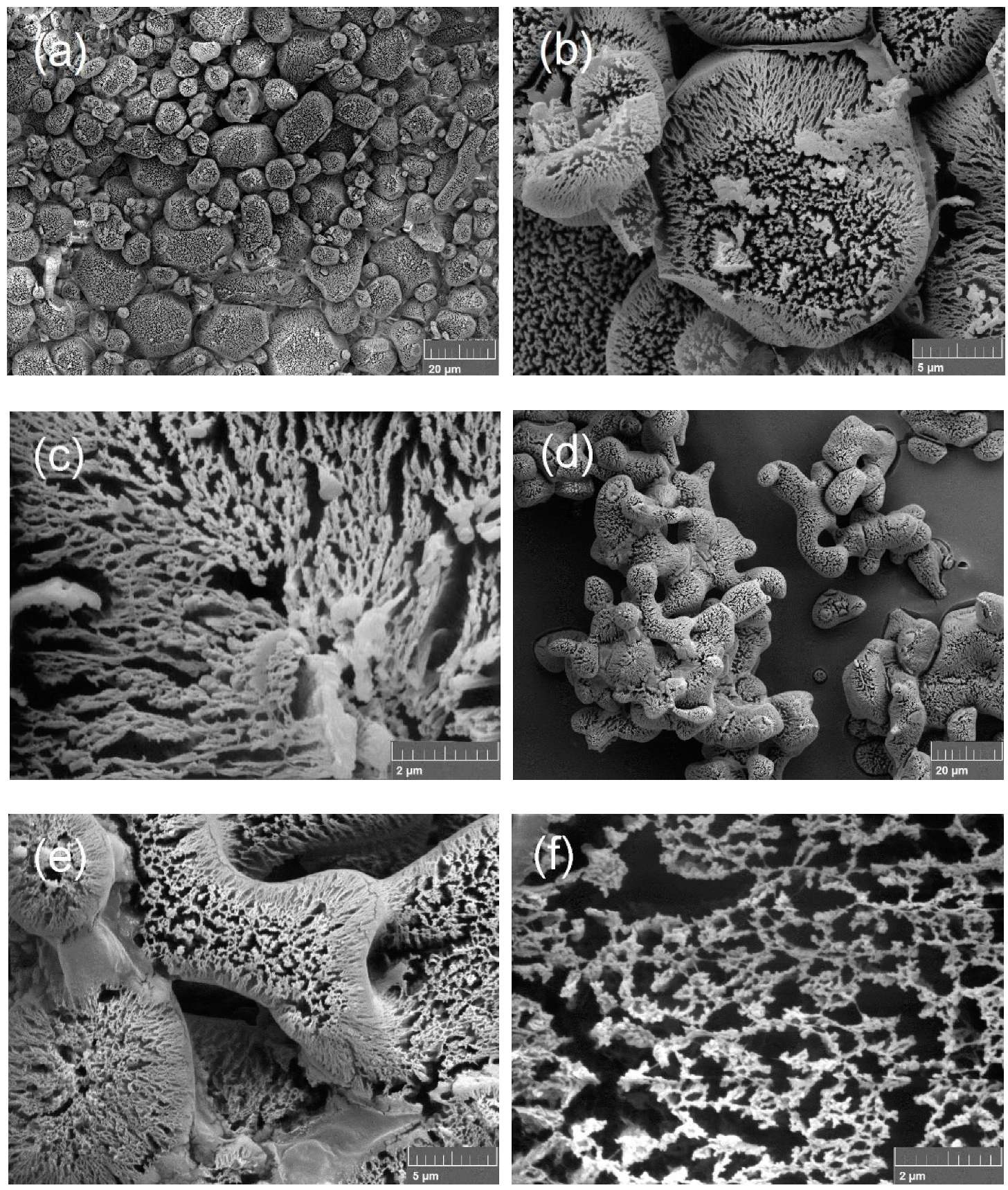 Nanomaterials 09 01605 g001