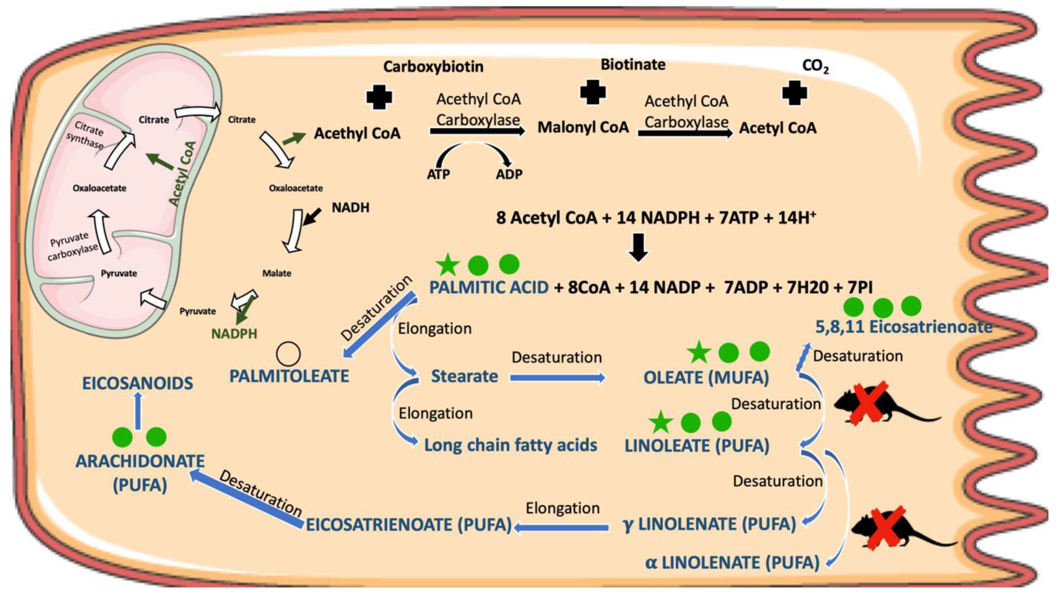Nanomaterials 09 01606 g007