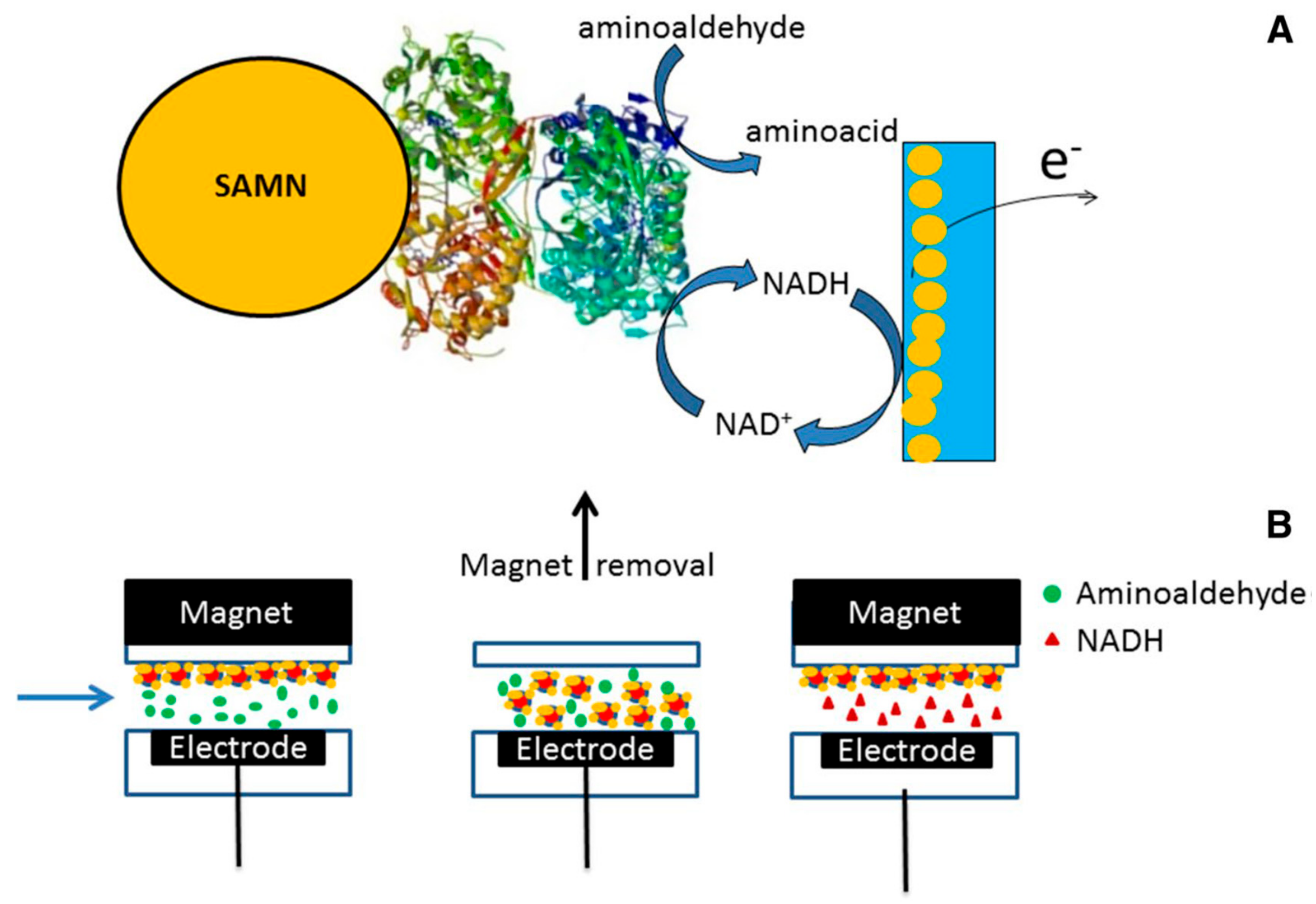 Nanomaterials Free Full Text Bare Iron Oxide