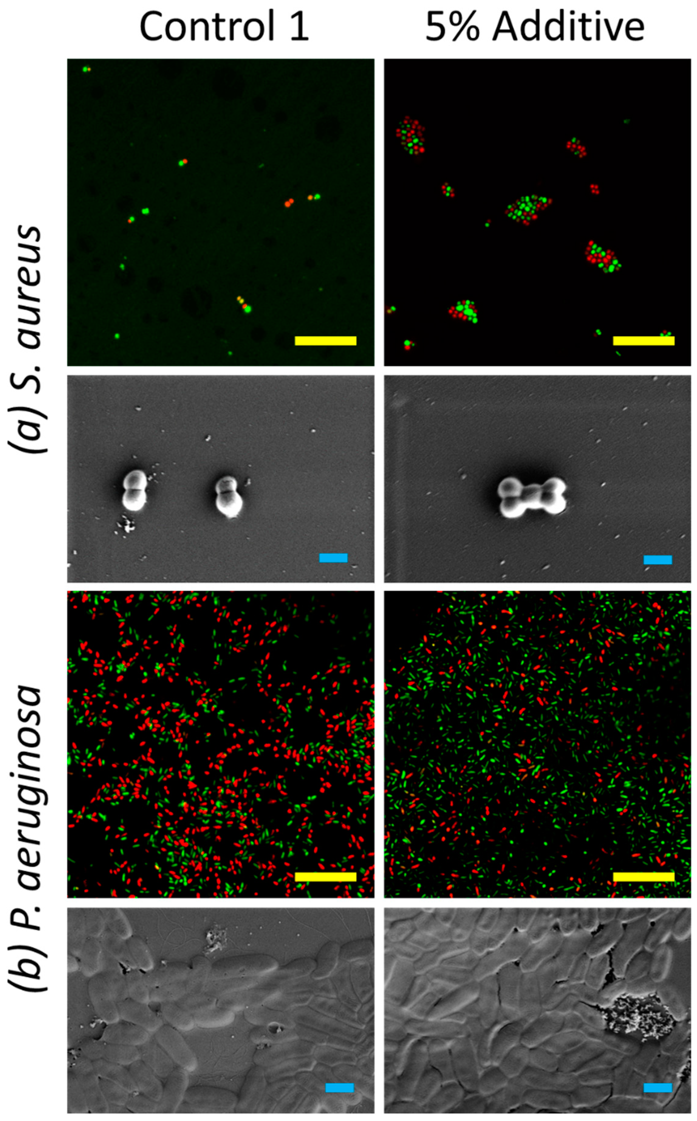 Nanomaterials 09 01610 g003