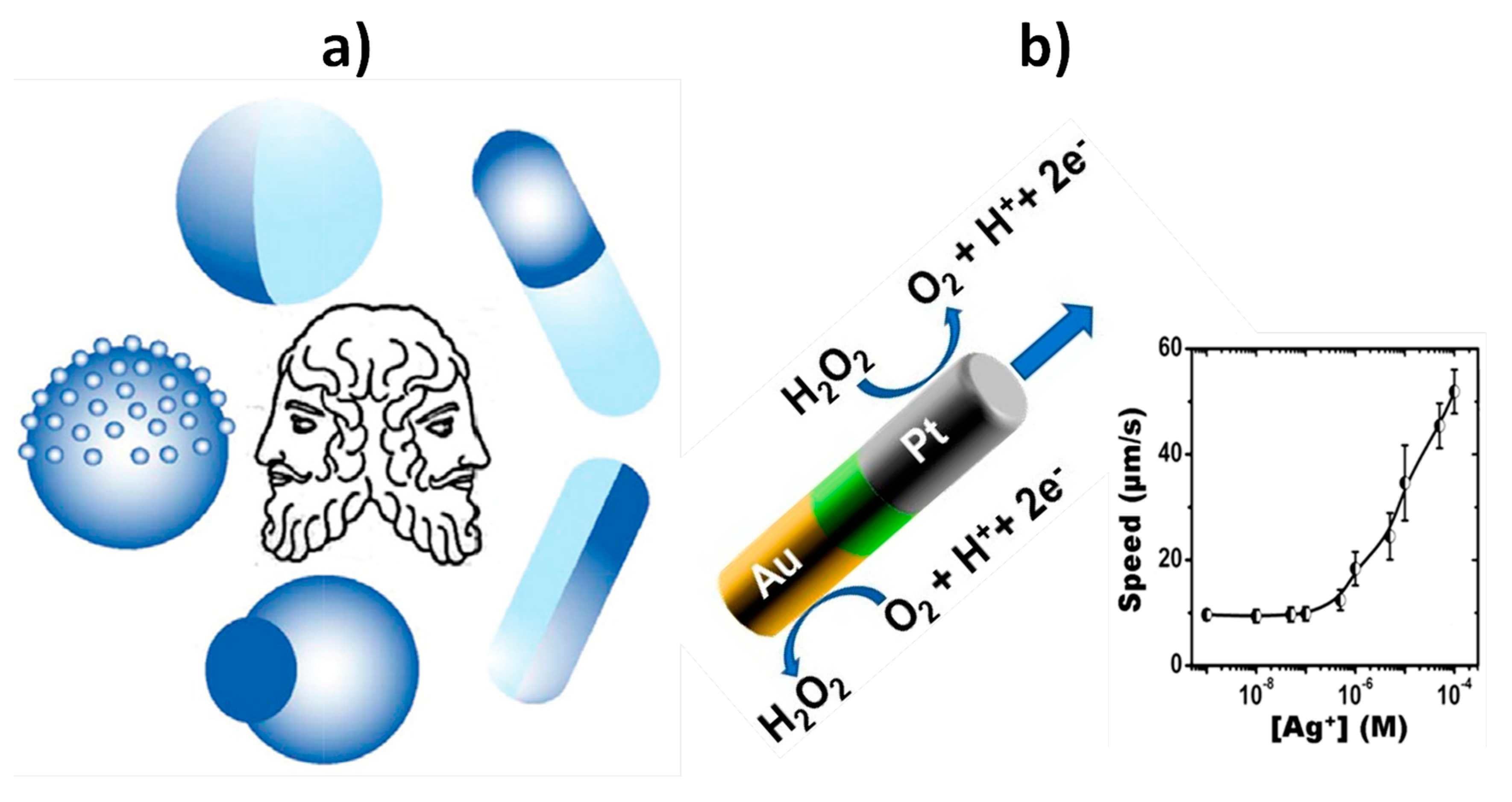 Nanomaterials 09 01614 g001 Nanomaterials 09 01614 g001
