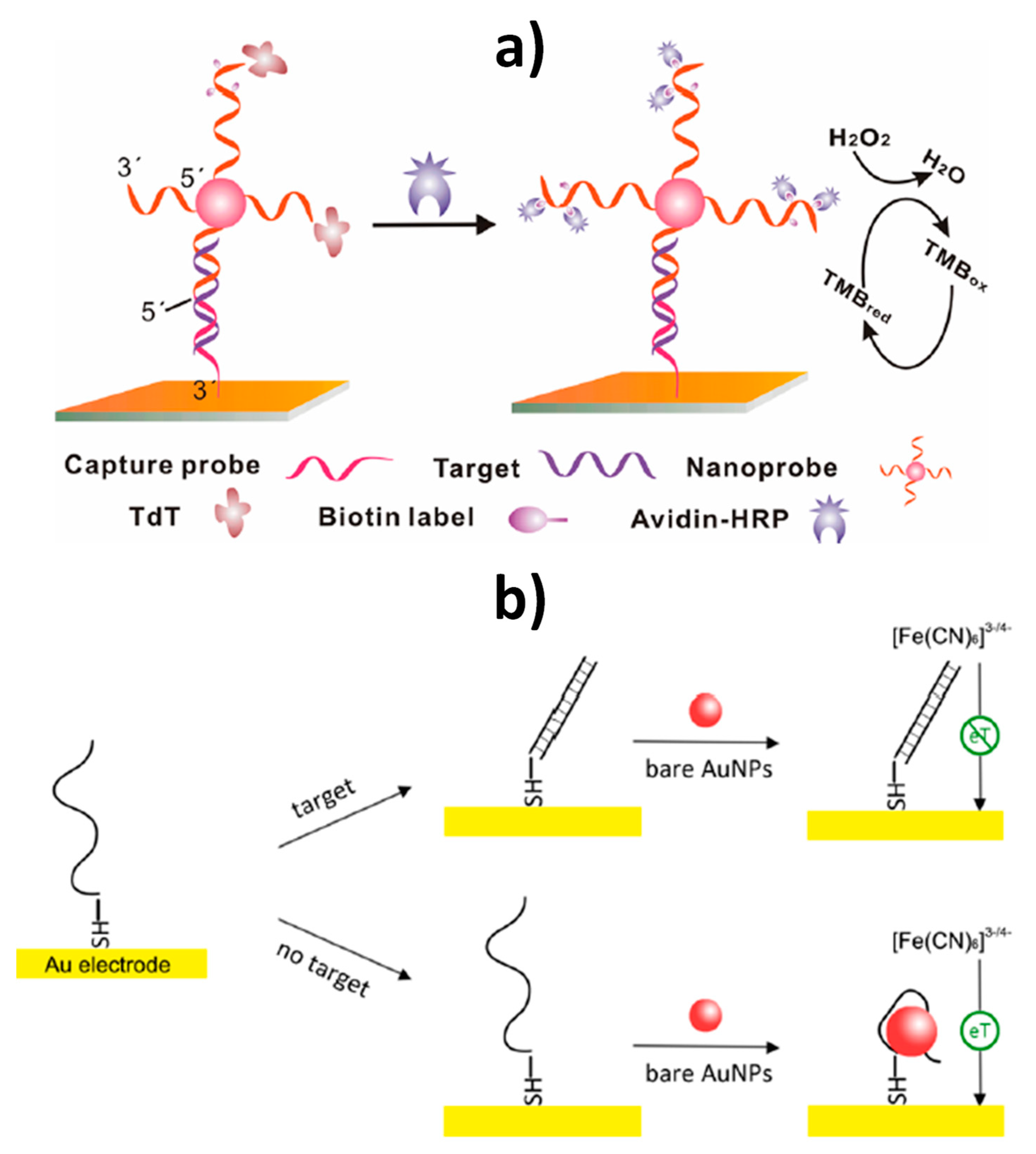 Nanomaterials 09 01614 g005 Nanomaterials 09 01614 g005