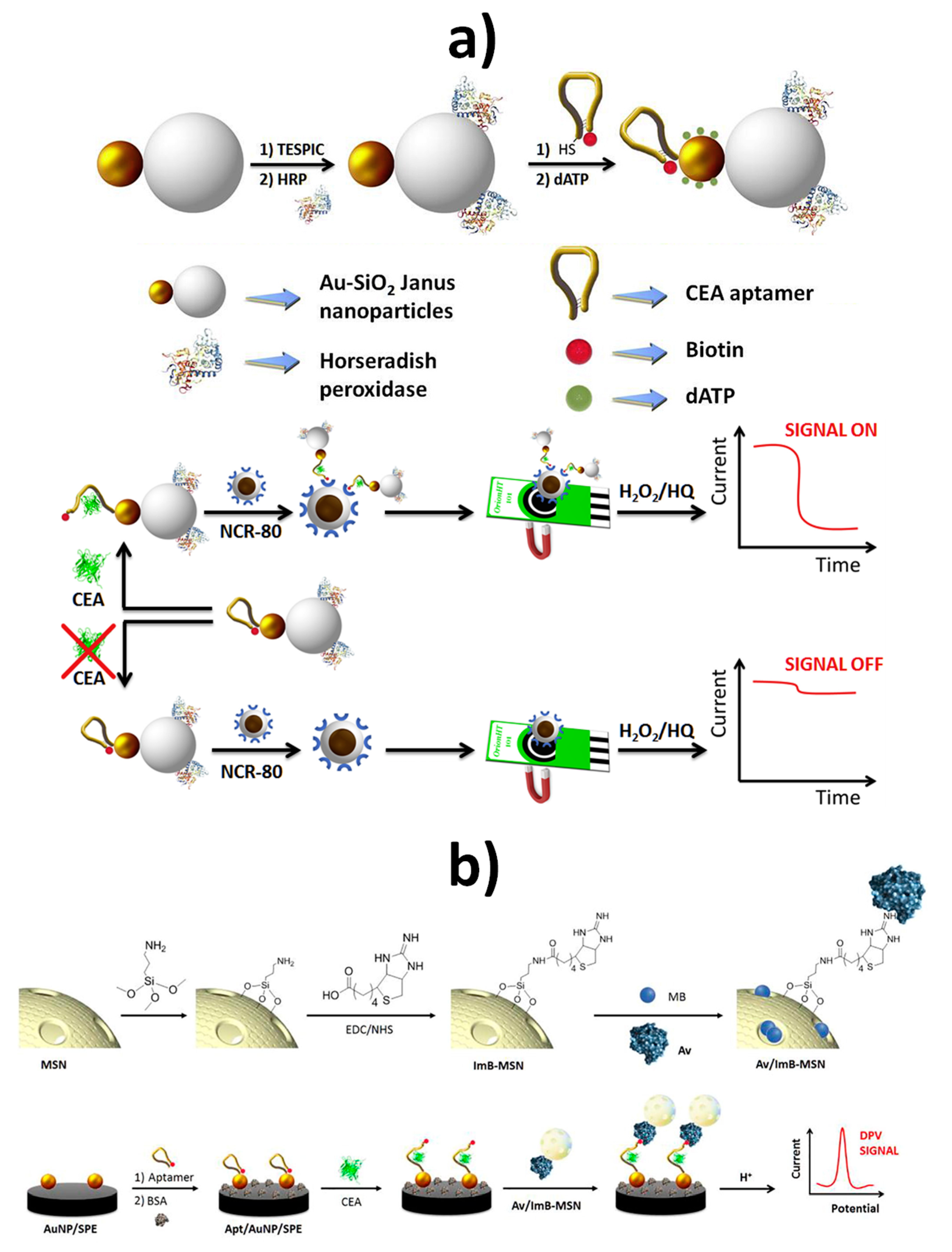 Nanomaterials 09 01614 g007 Nanomaterials 09 01614 g007