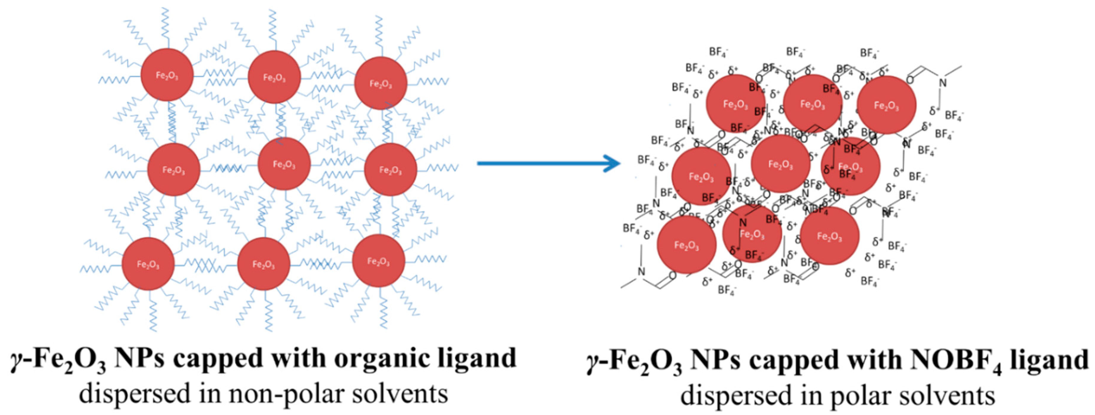 Nanomaterials 09 01616 g001 Nanomaterials 09 01616 g001