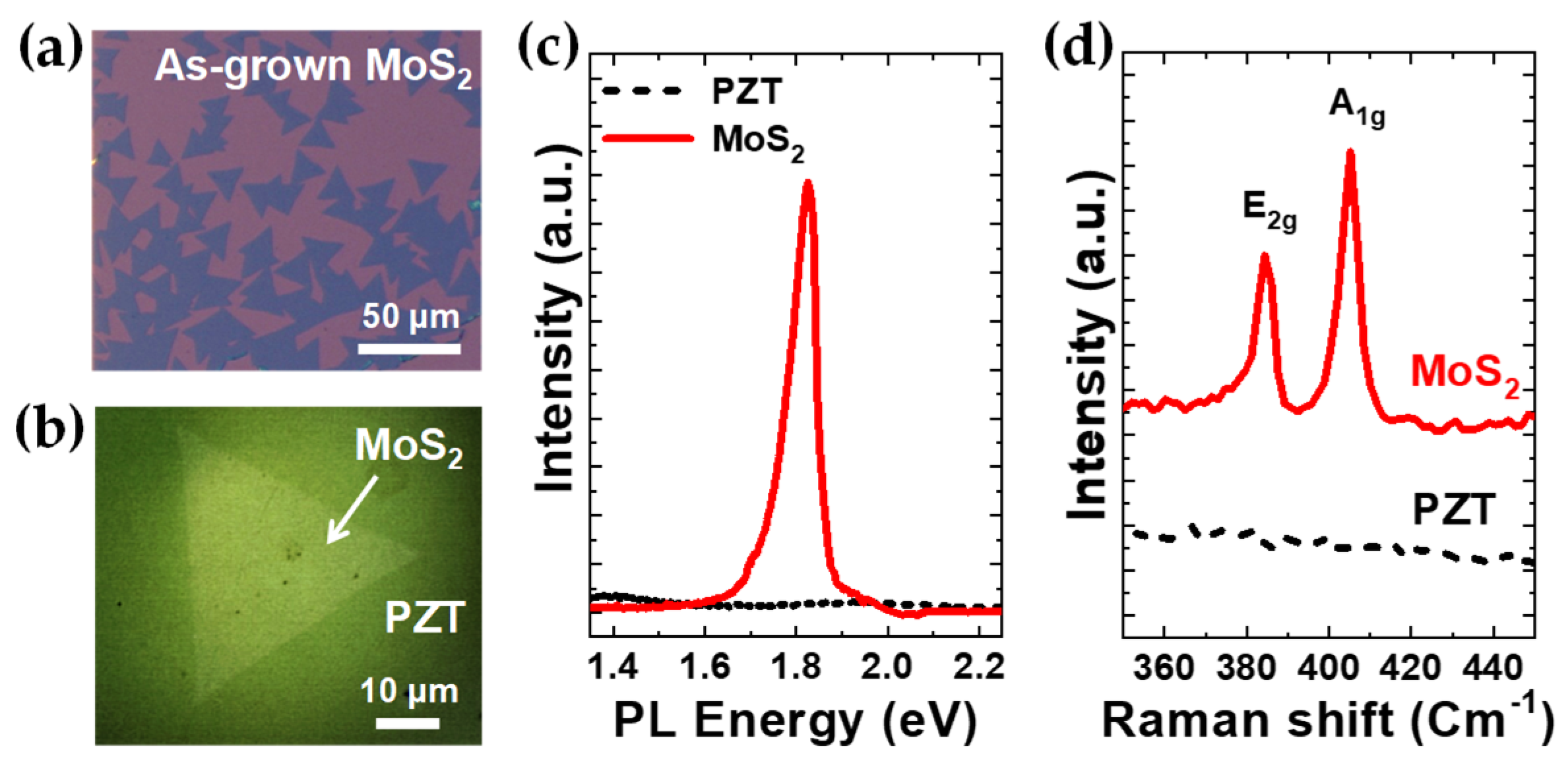 Nanomaterials 09 01620 g001