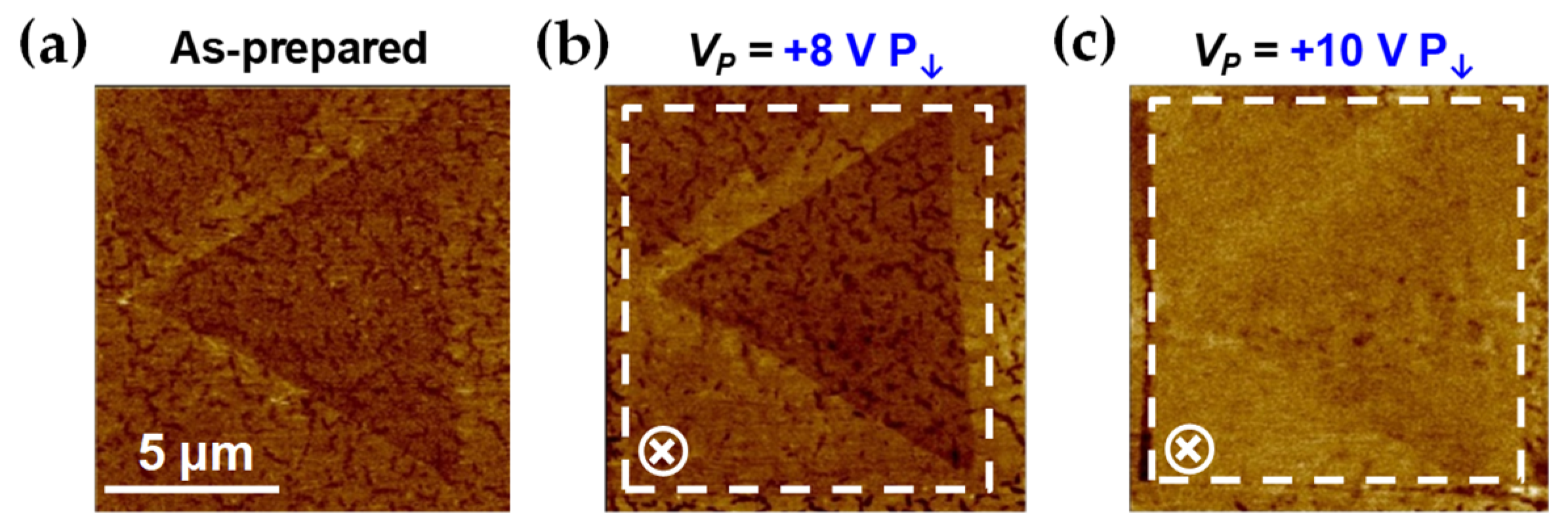 Nanomaterials 09 01620 g006