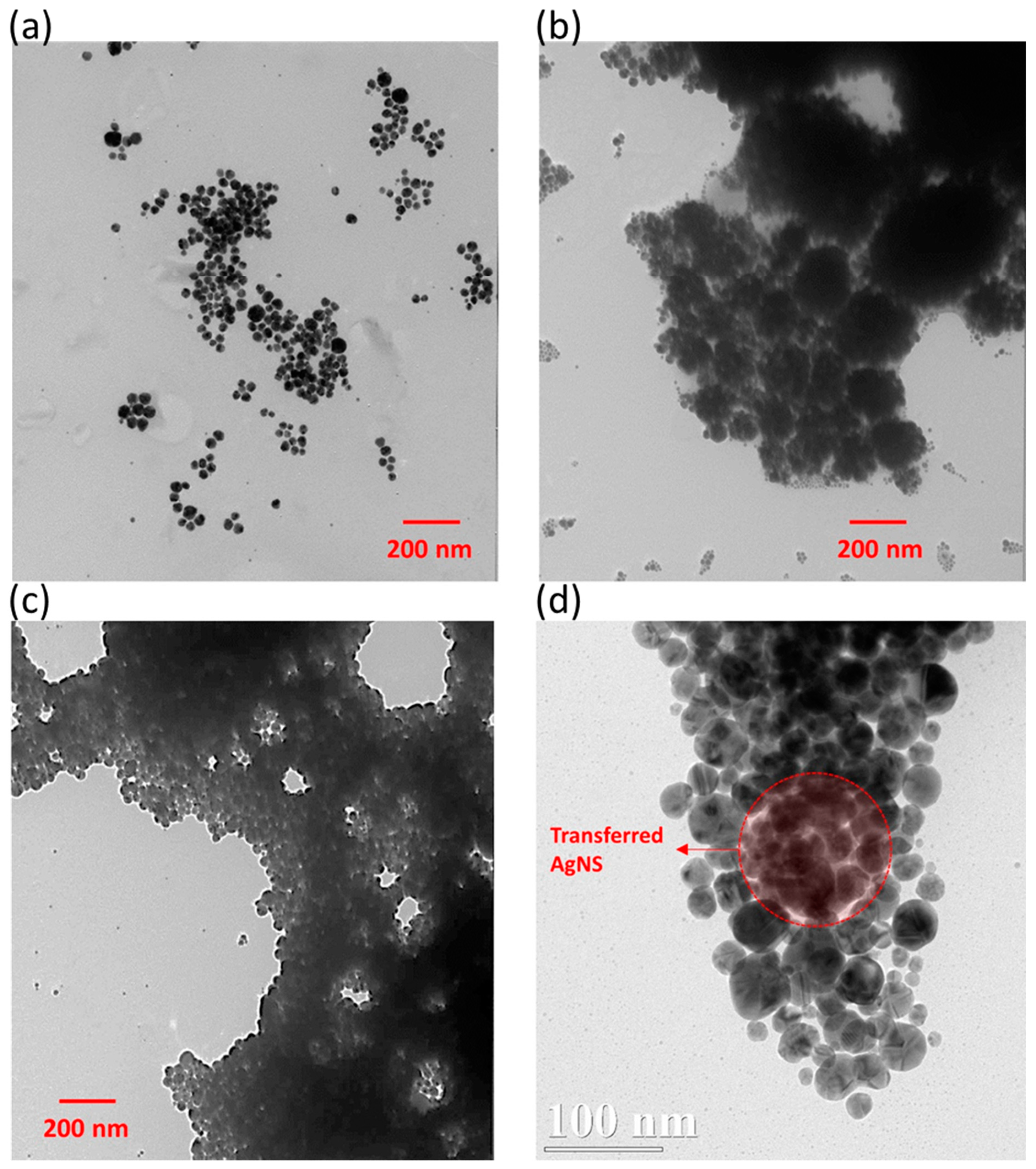 Nanomaterials 09 01621 g002 Nanomaterials 09 01621 g002