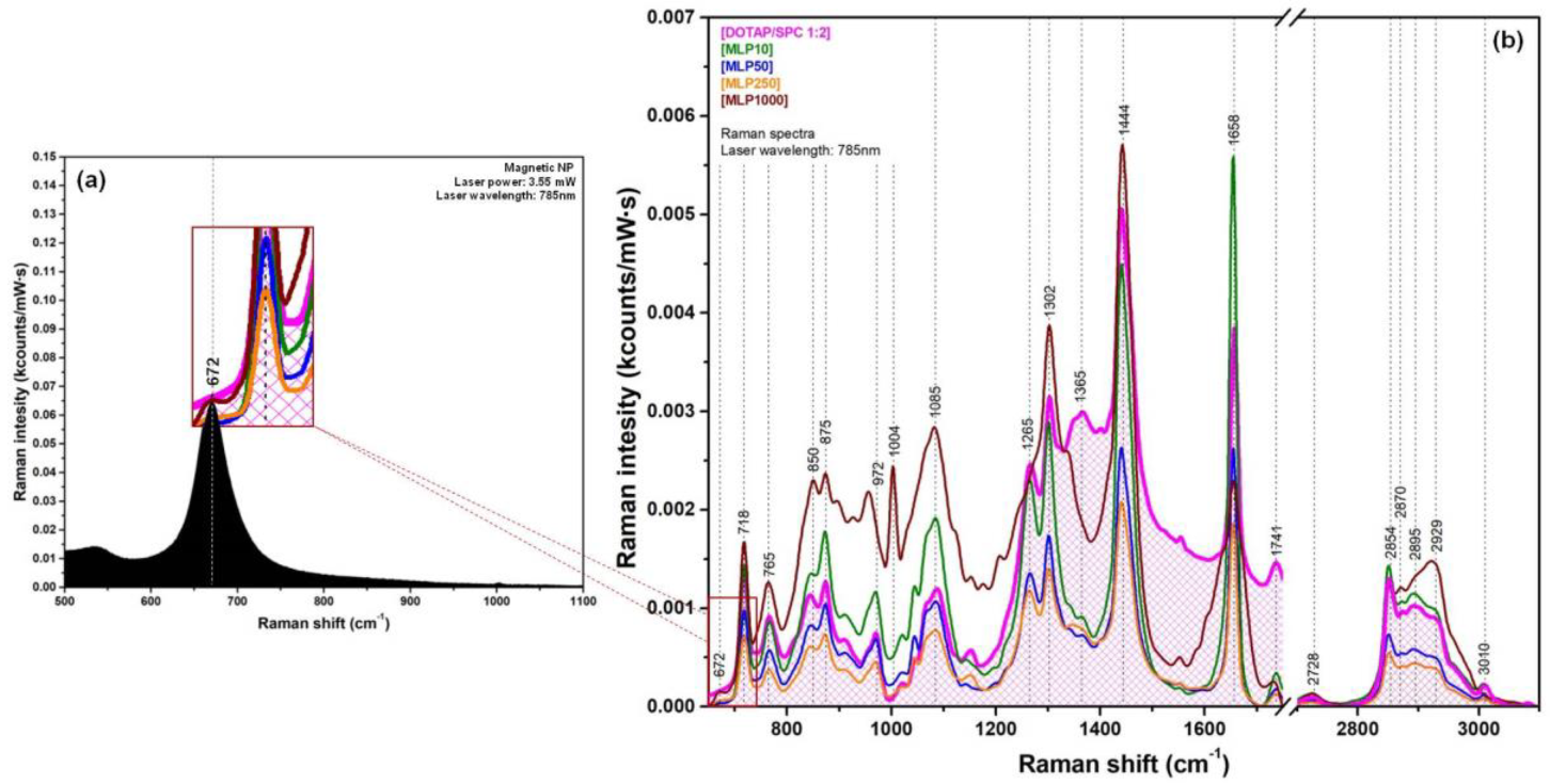 Nanomaterials 09 01623 g006