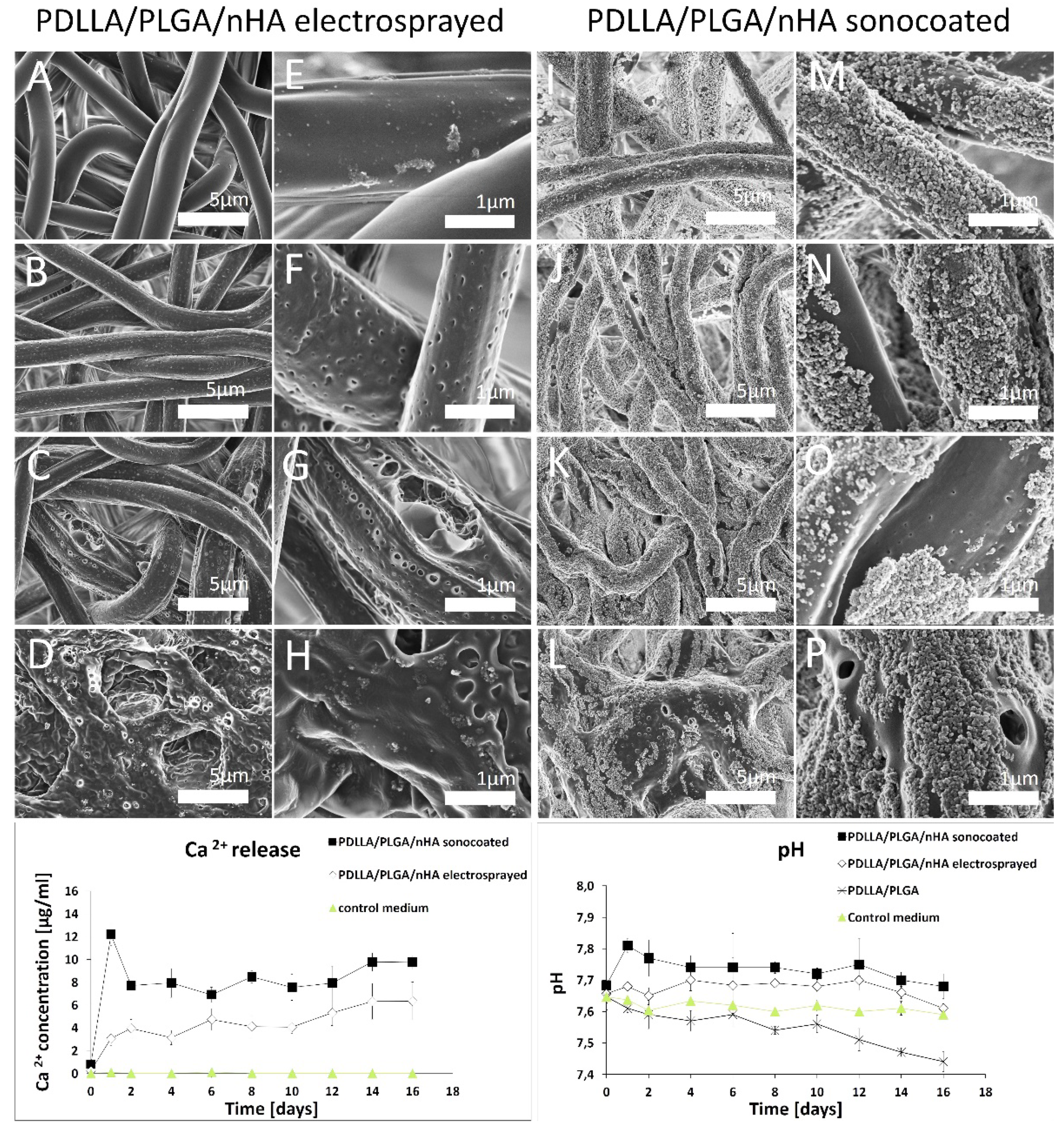 Nanomaterials 09 01625 g010 Nanomaterials 09 01625 g010