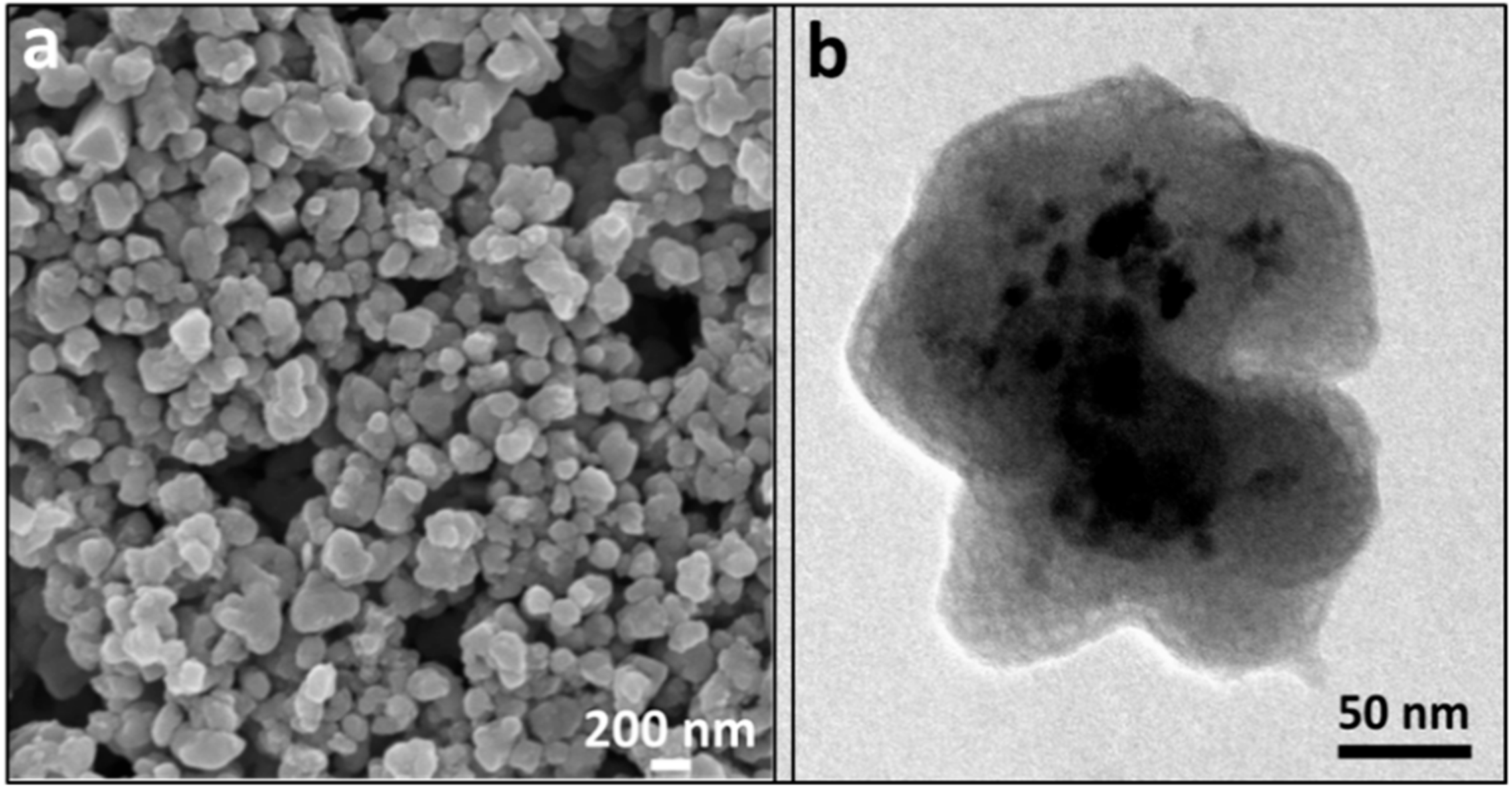 Nanomaterials 09 01626 g005 Nanomaterials 09 01626 g005