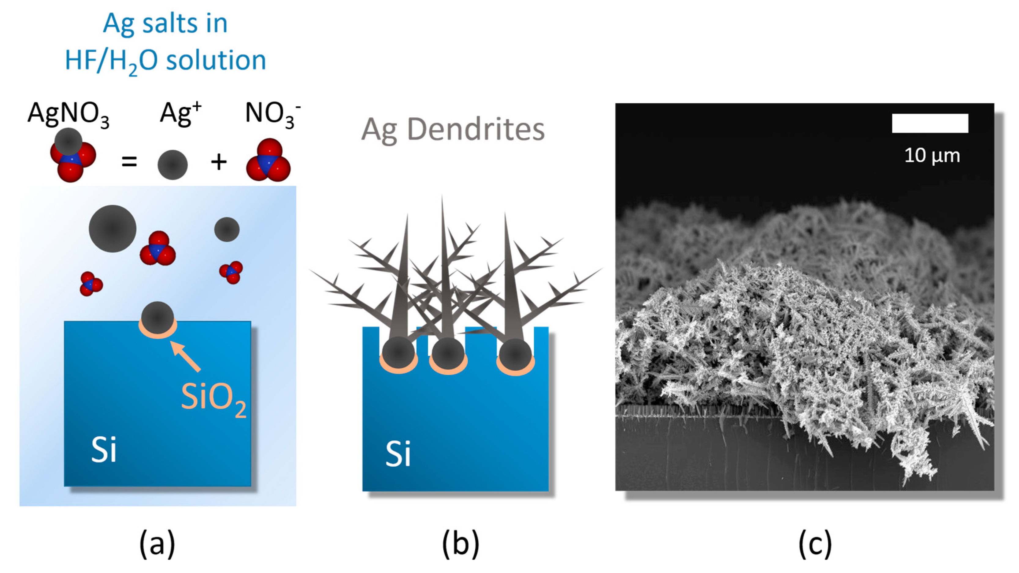 Nanomaterials 09 01630 g001 Nanomaterials 09 01630 g001