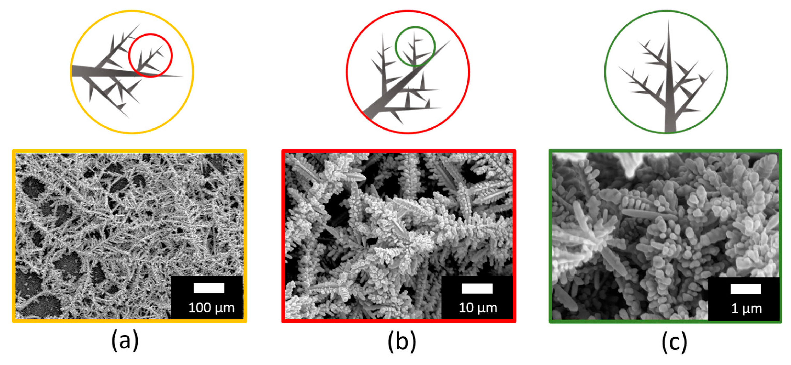 Nanomaterials 09 01630 g002 Nanomaterials 09 01630 g002