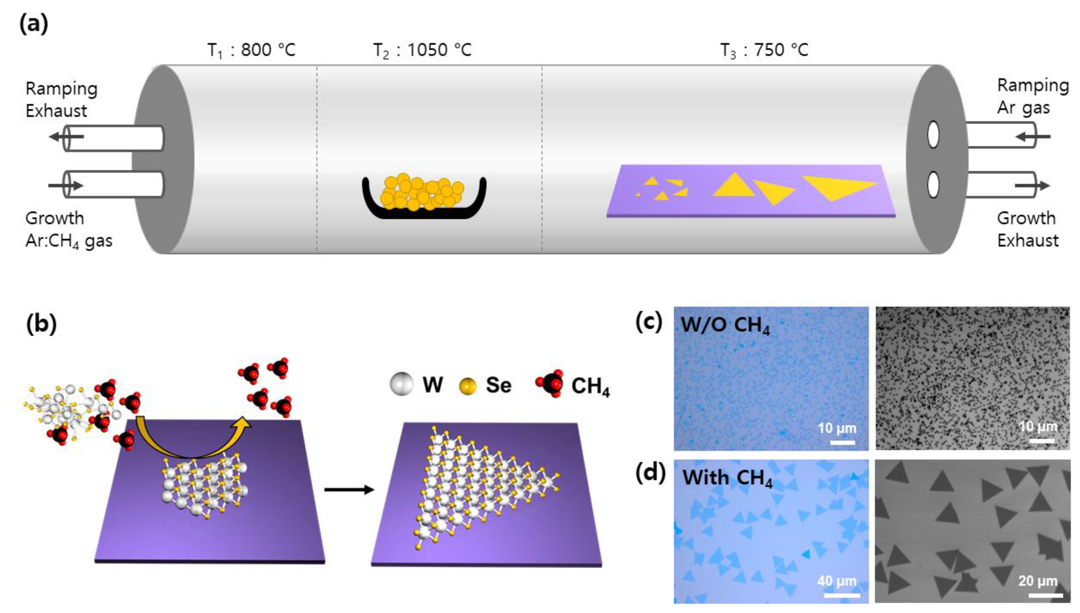 Nanomaterials 09 01642 g001
