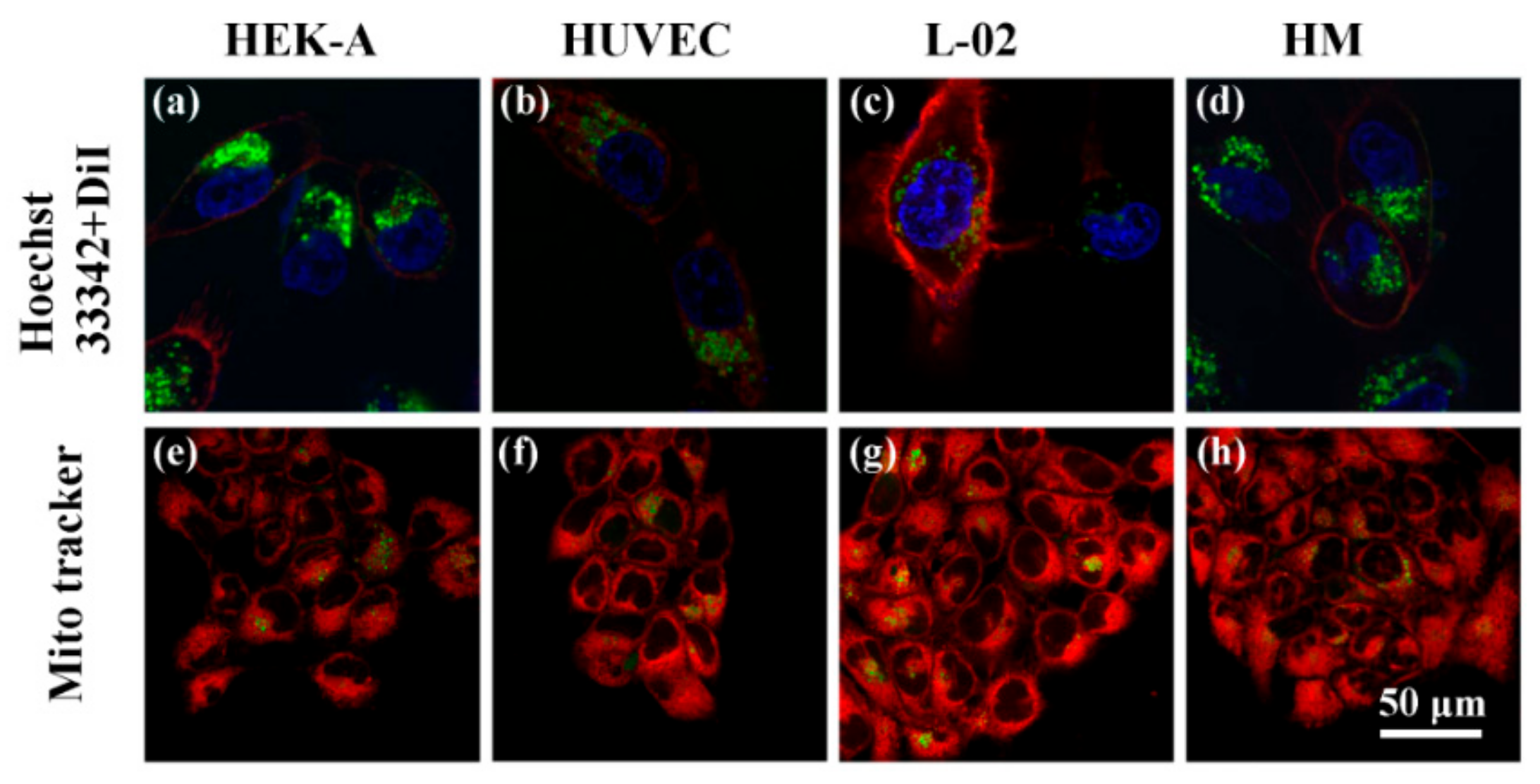 Nanomaterials 09 01647 g008