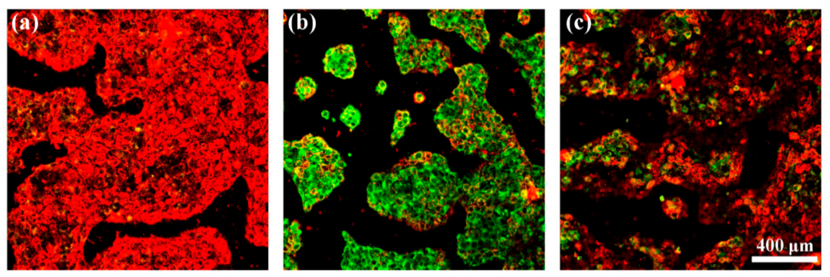 Nanomaterials 09 01647 g009
