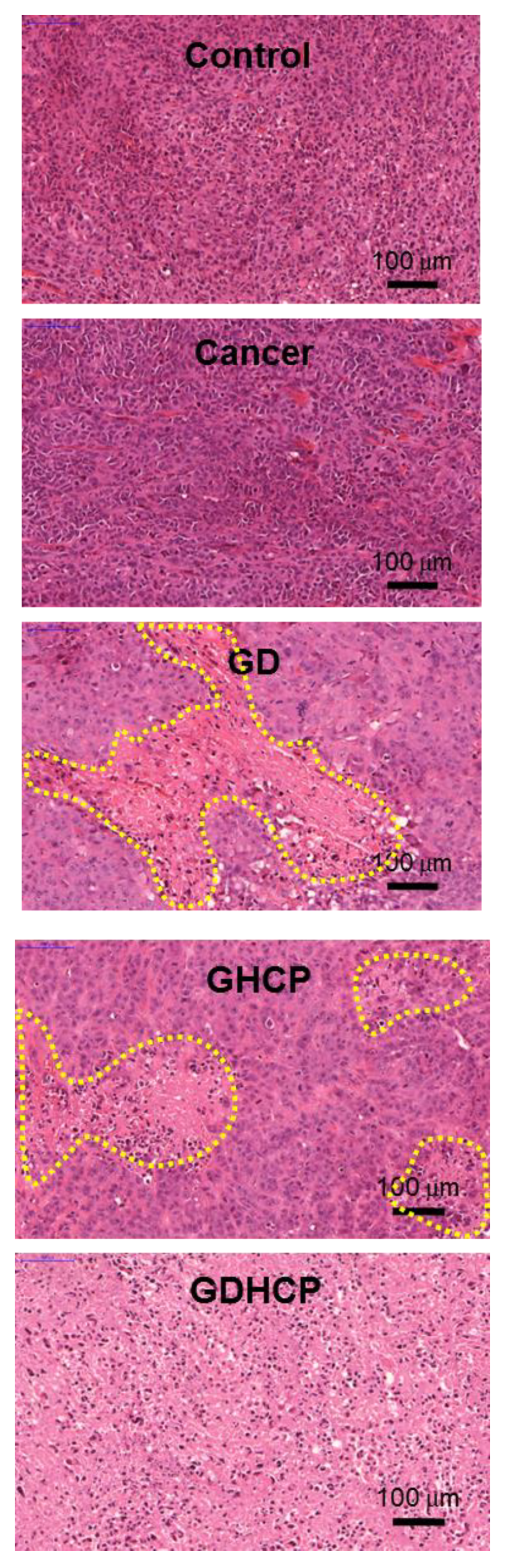 Nanomaterials 09 01652 g006 Nanomaterials 09 01652 g006