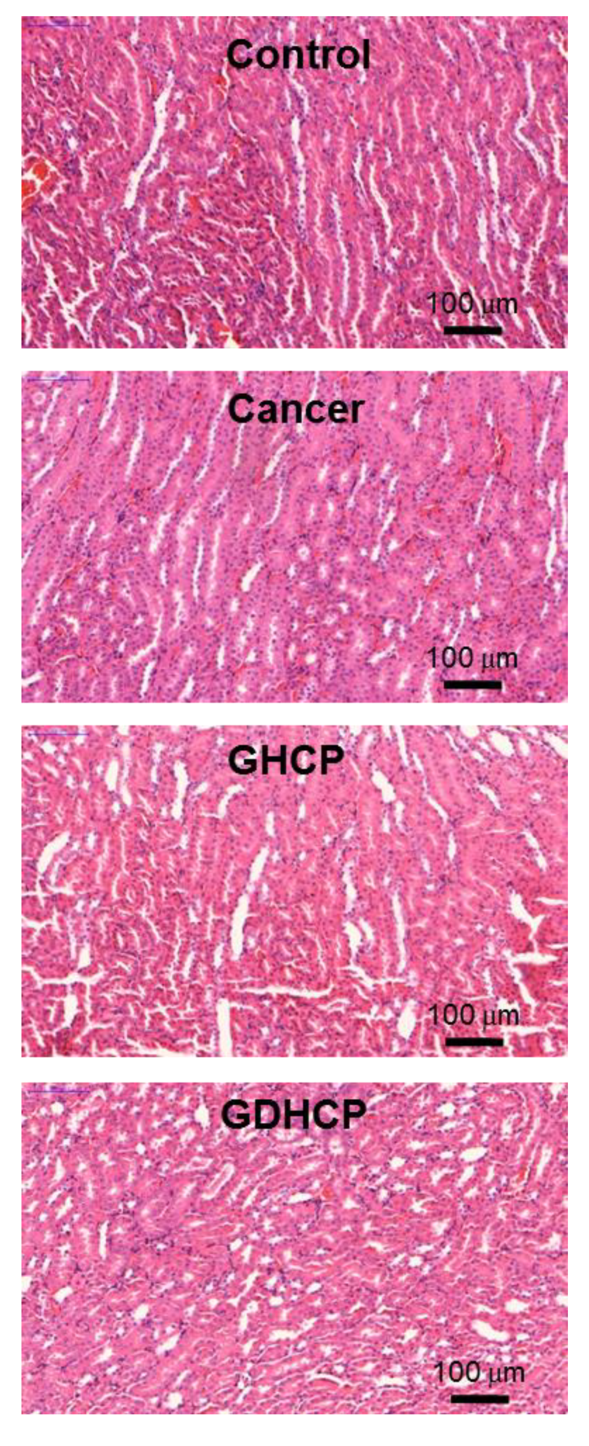 Nanomaterials 09 01652 g008 Nanomaterials 09 01652 g008