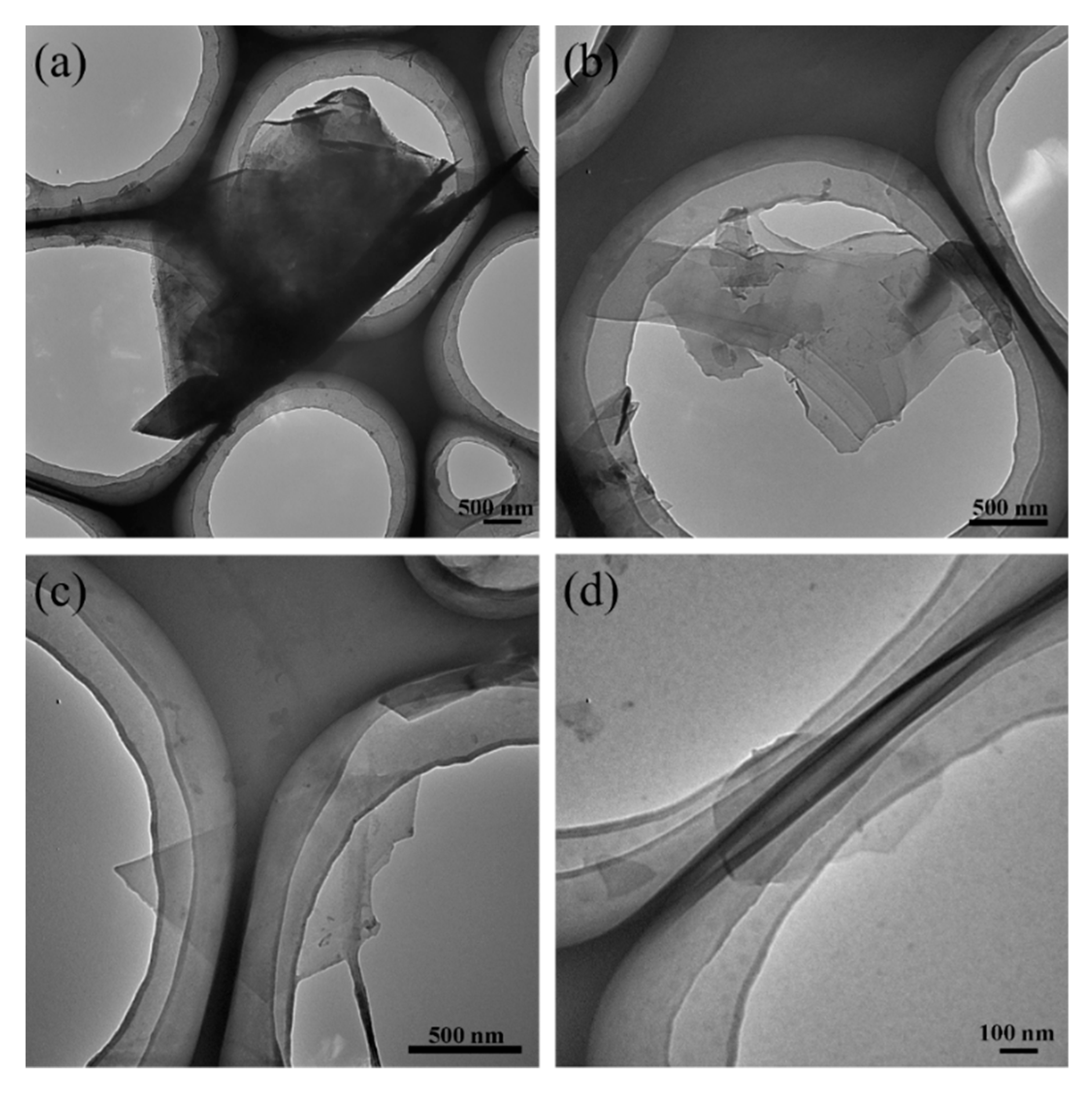 Nanomaterials 09 01653 g004 Nanomaterials 09 01653 g004