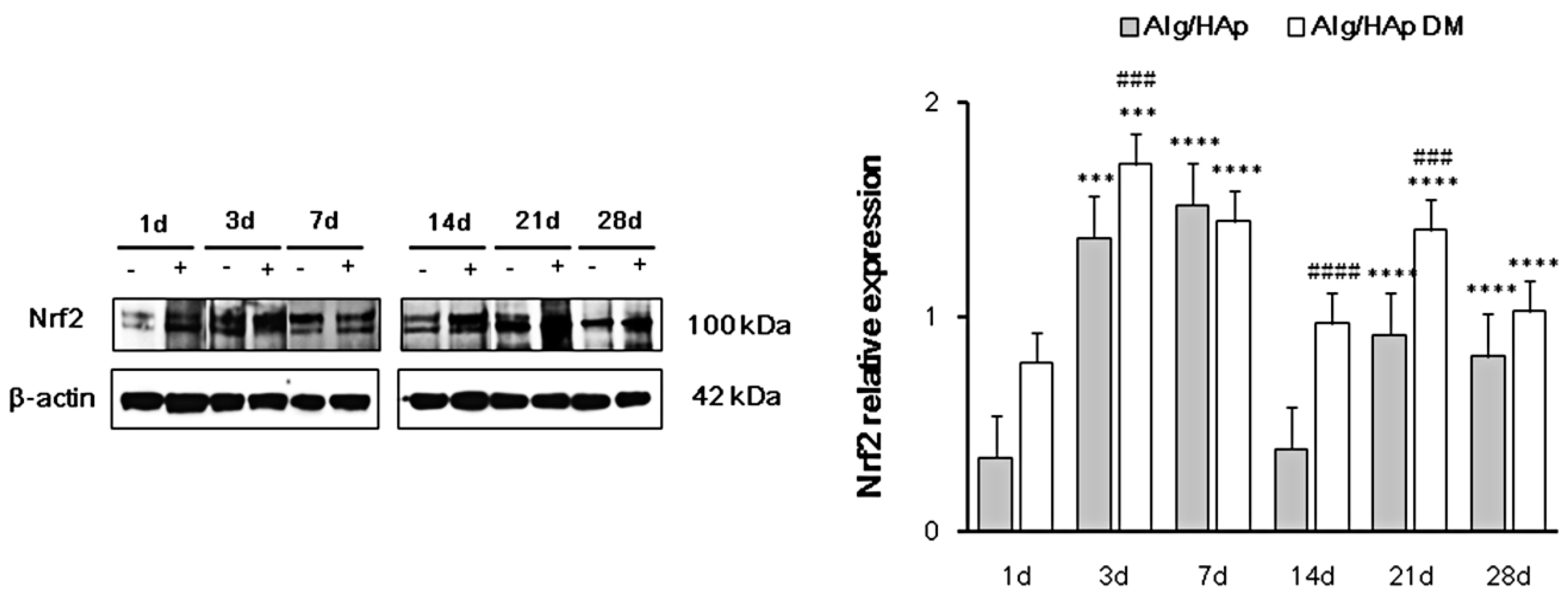 Nanomaterials 09 01656 g003