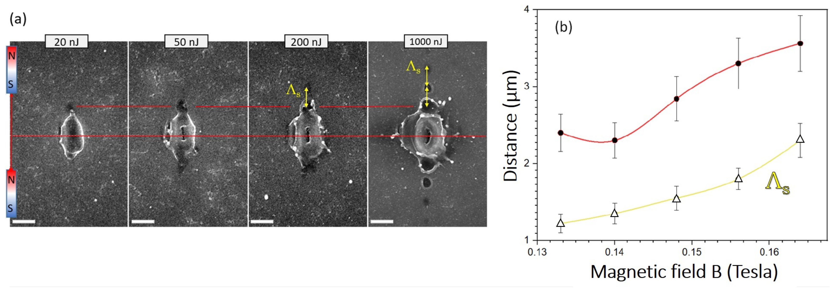 Nanomaterials 09 01662 g005 Nanomaterials 09 01662 g005