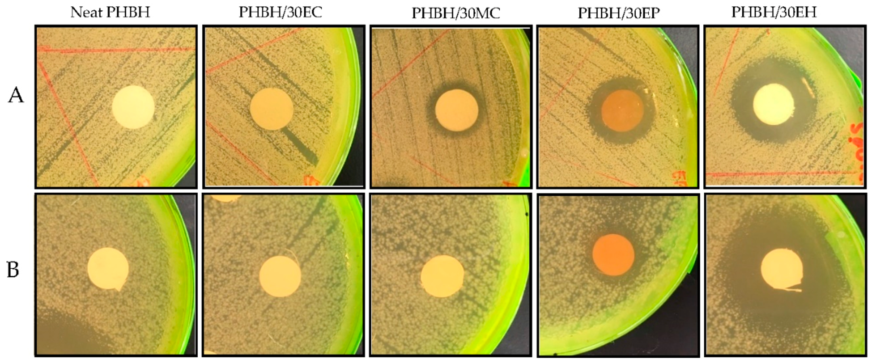 Nanomaterials 09 01665 g005