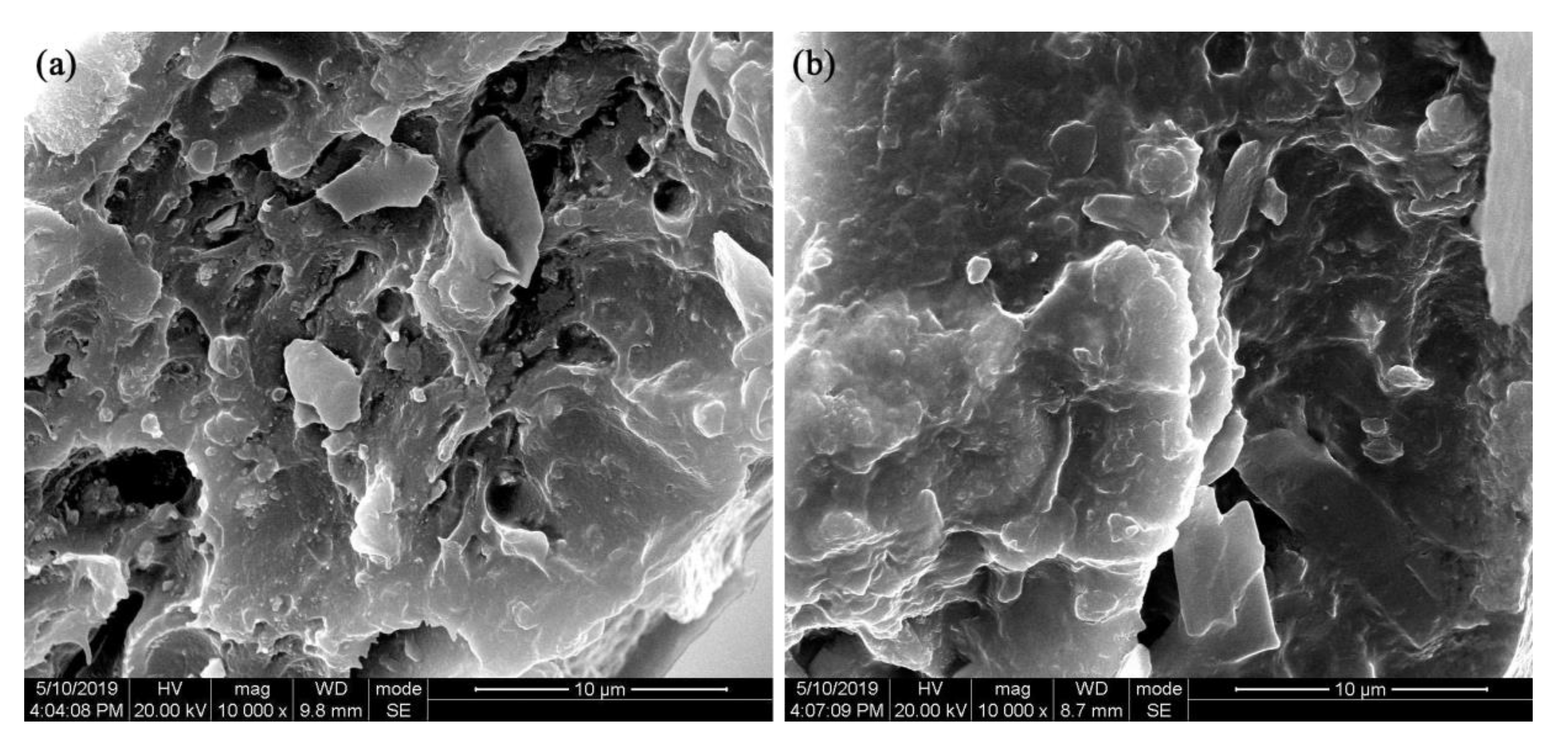Nanomaterials 09 01667 g012 550