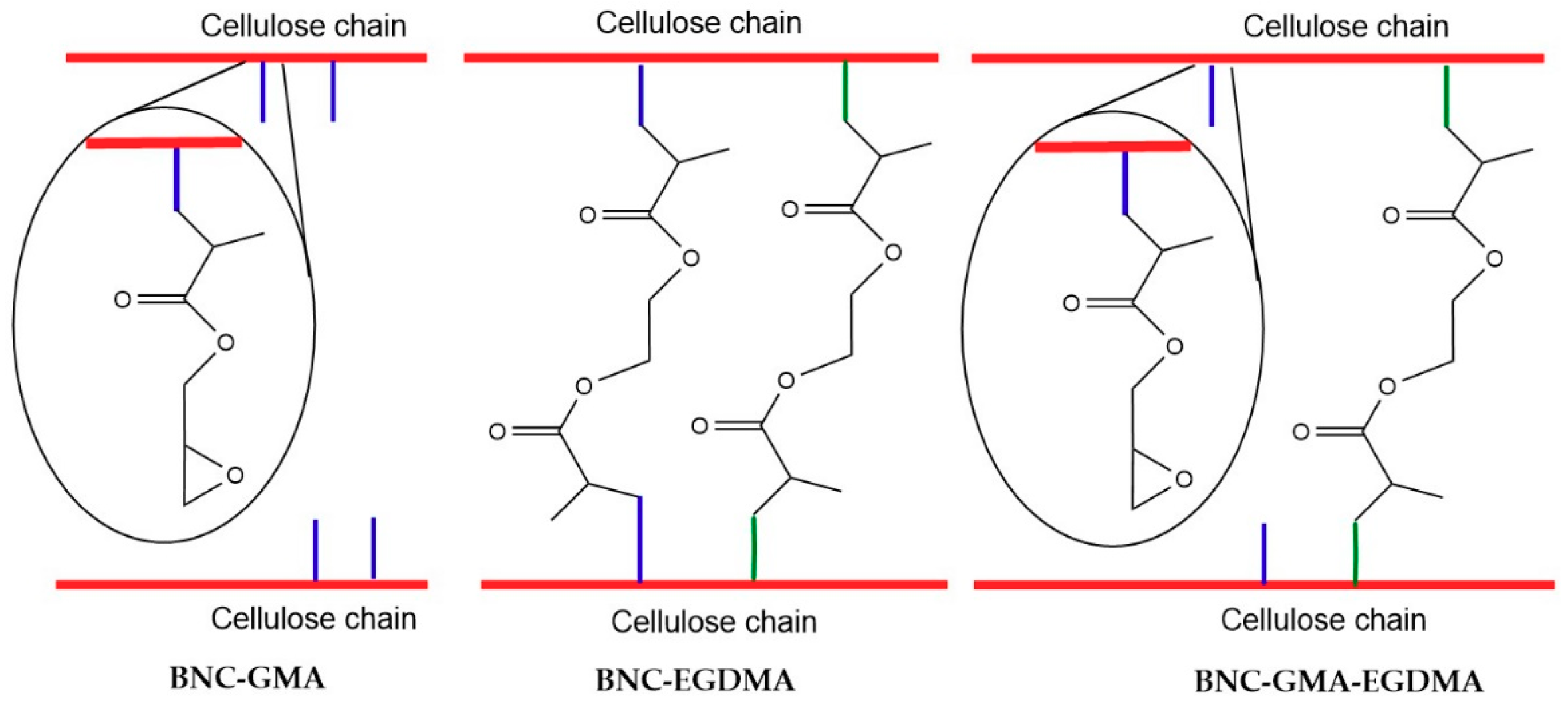 Nanomaterials 09 01668 g001 550