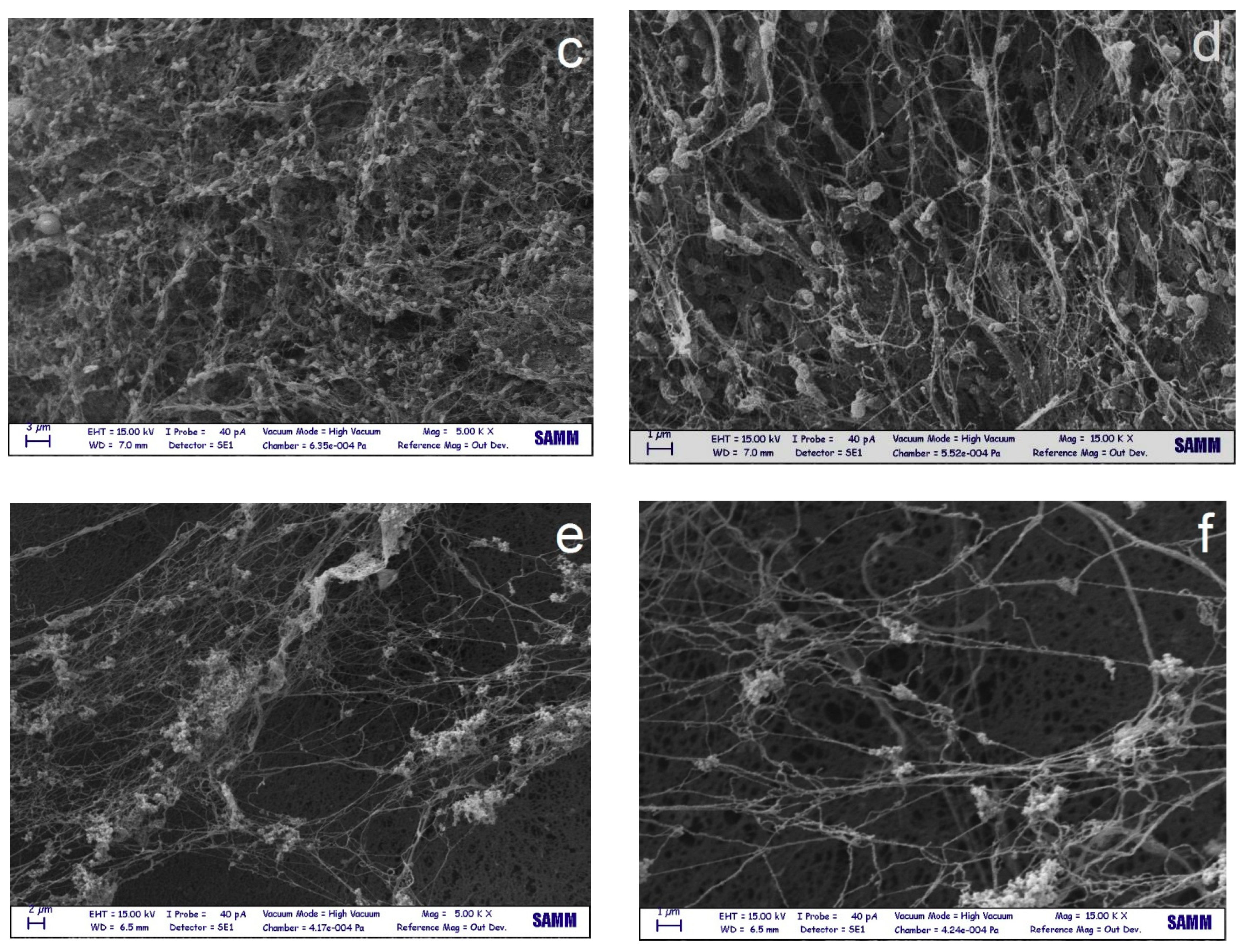 Nanomaterials 09 01668 g015b 550